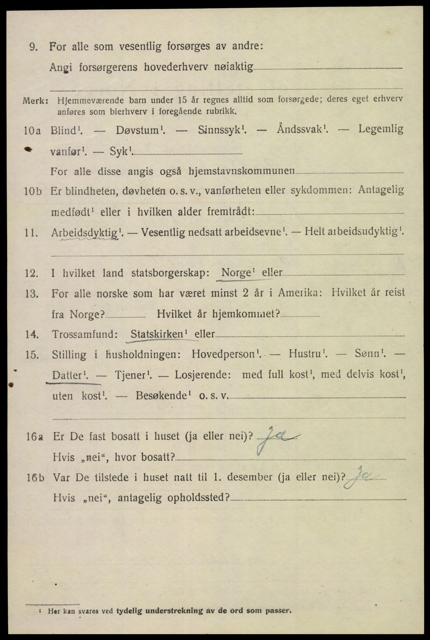 SAK, 1920 census for Valle, 1920, p. 960