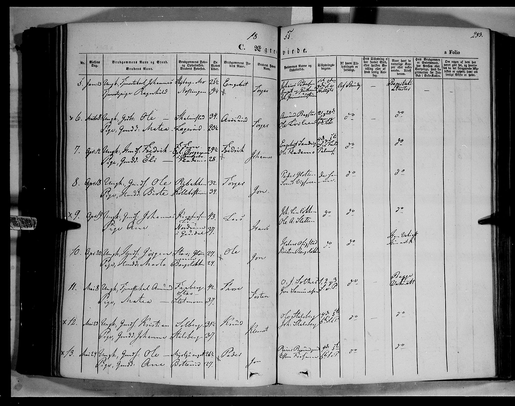 Øyer prestekontor, SAH/PREST-084/H/Ha/Haa/L0005: Parish register (official) no. 5, 1842-1857, p. 233