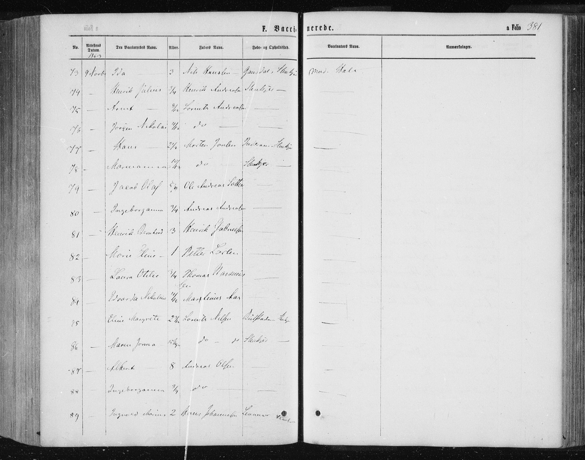 Ministerialprotokoller, klokkerbøker og fødselsregistre - Nord-Trøndelag, AV/SAT-A-1458/735/L0345: Parish register (official) no. 735A08 /1, 1863-1872, p. 381