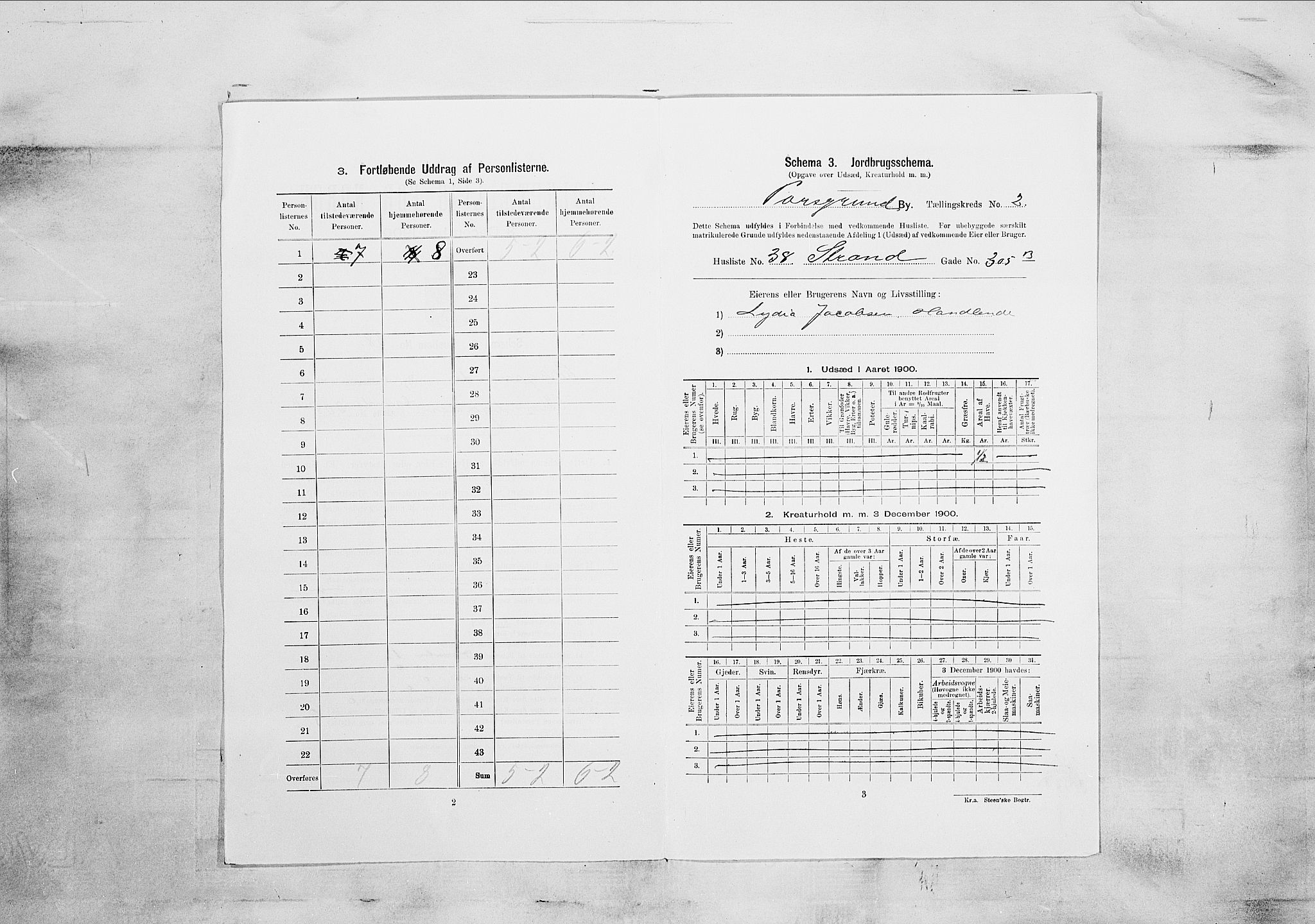 SAKO, 1900 census for Porsgrunn, 1900, p. 319