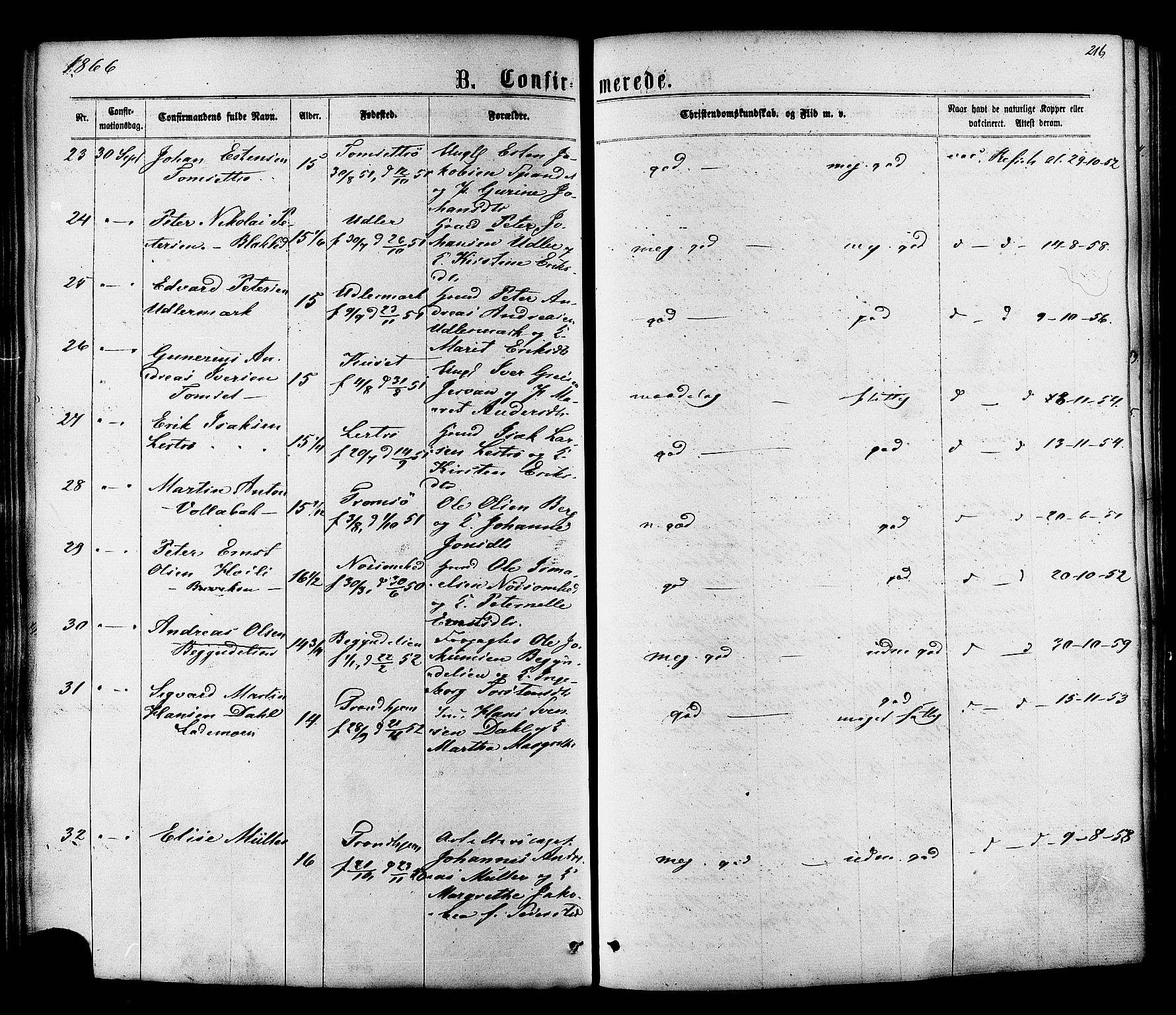 Ministerialprotokoller, klokkerbøker og fødselsregistre - Sør-Trøndelag, SAT/A-1456/606/L0293: Parish register (official) no. 606A08, 1866-1877, p. 216