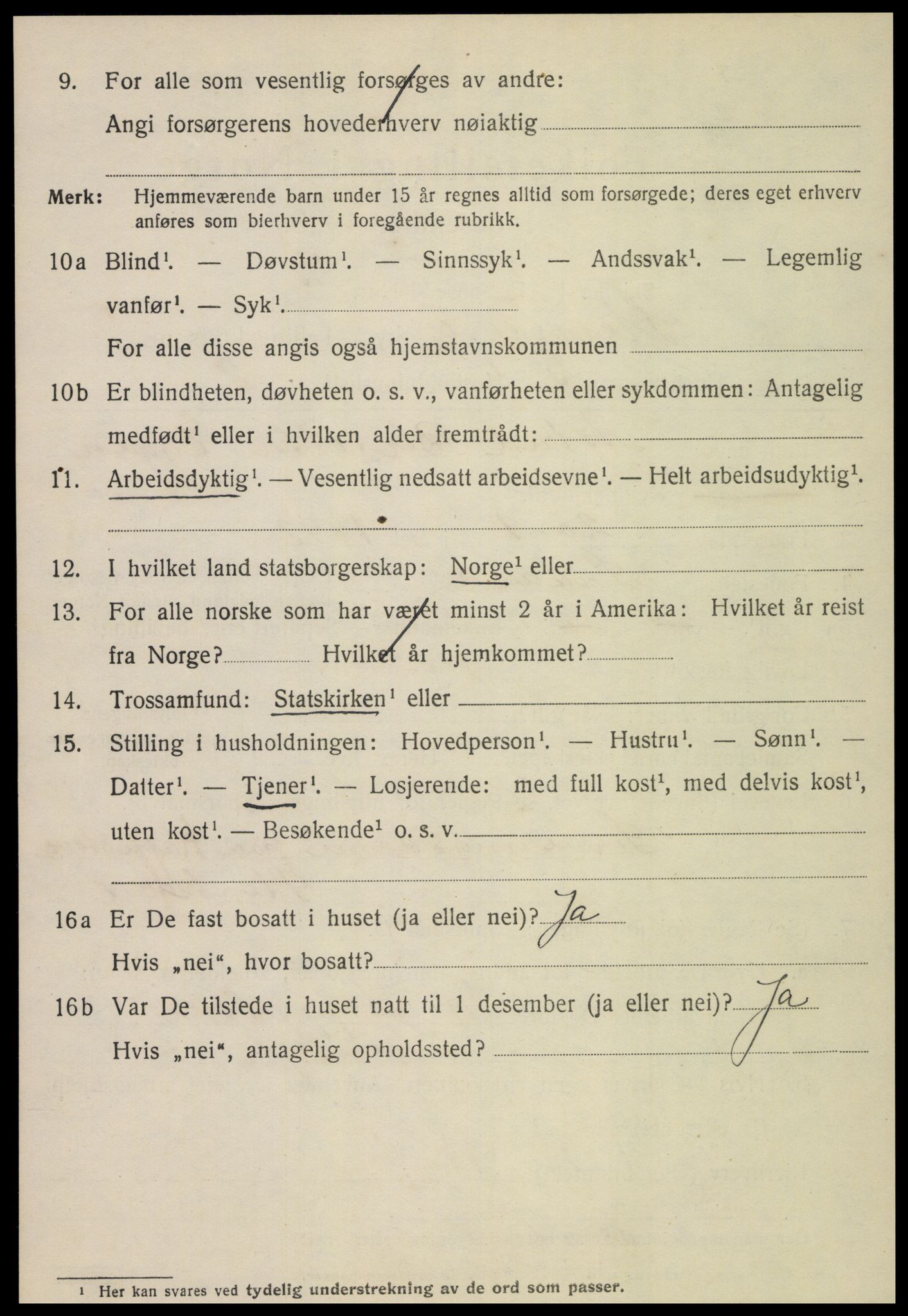 SAT, 1920 census for Steinkjer, 1920, p. 4221