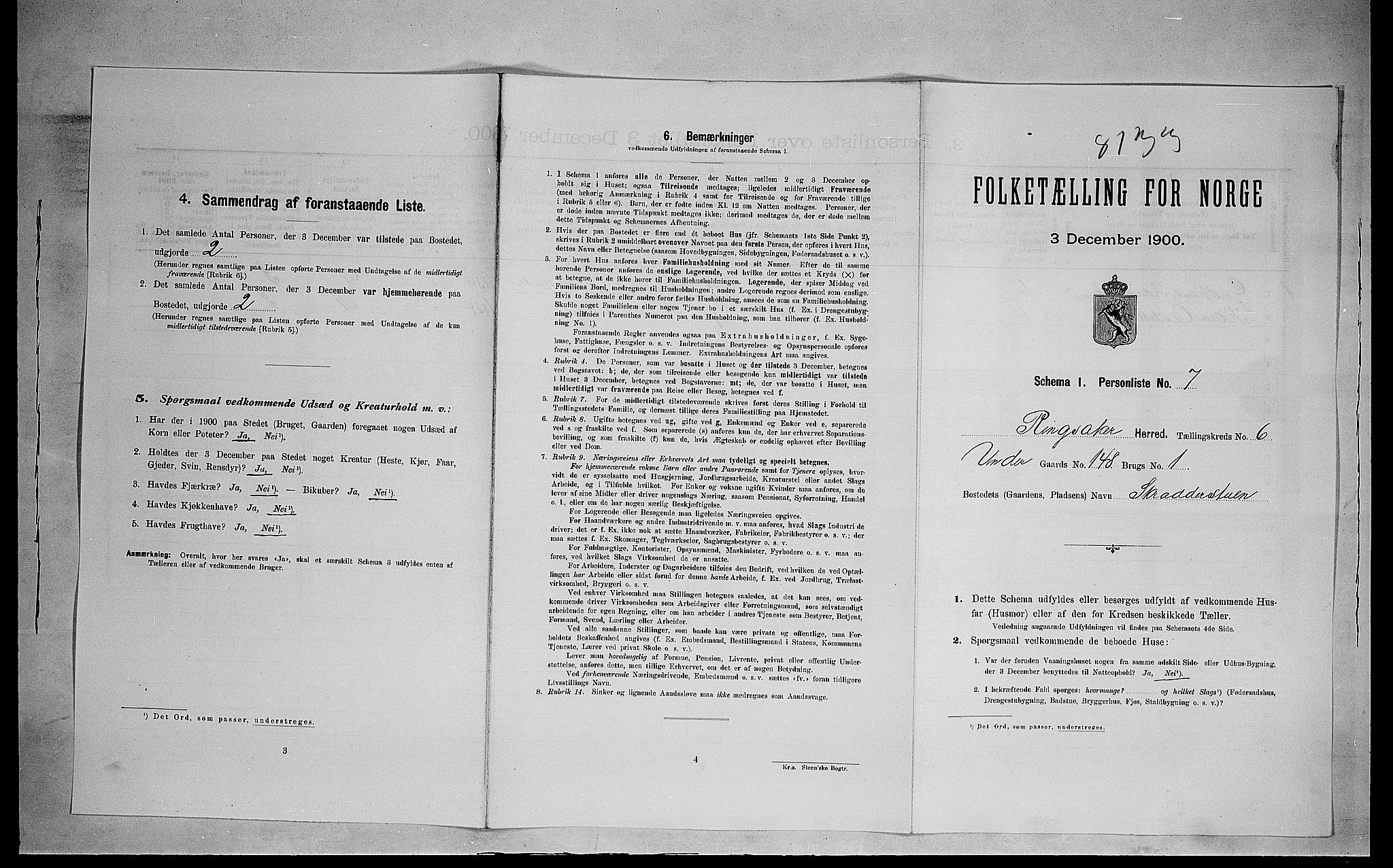 SAH, 1900 census for Ringsaker, 1900, p. 1245