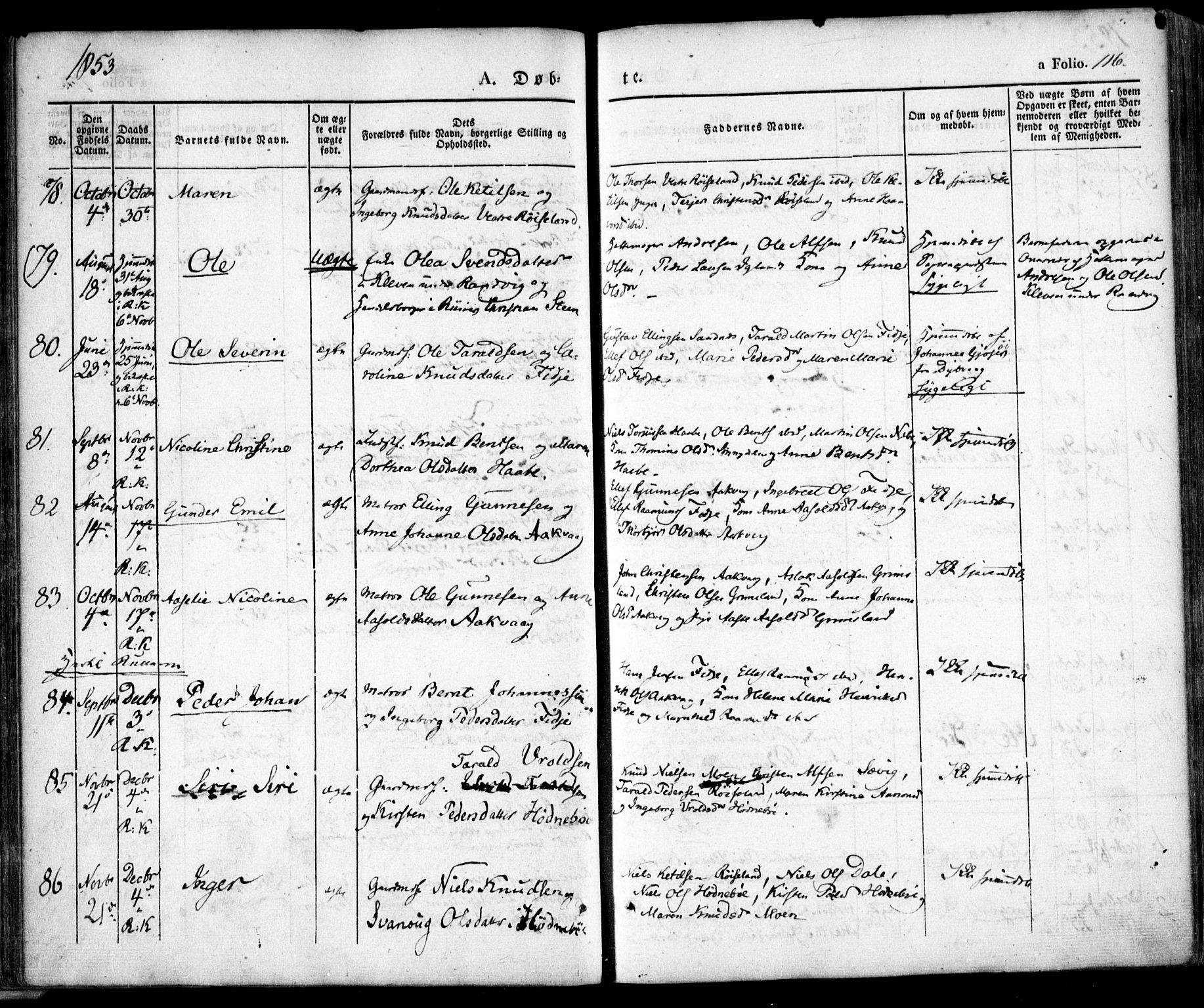 Søndeled sokneprestkontor, SAK/1111-0038/F/Fa/L0002: Parish register (official) no. A 2, 1839-1860, p. 116