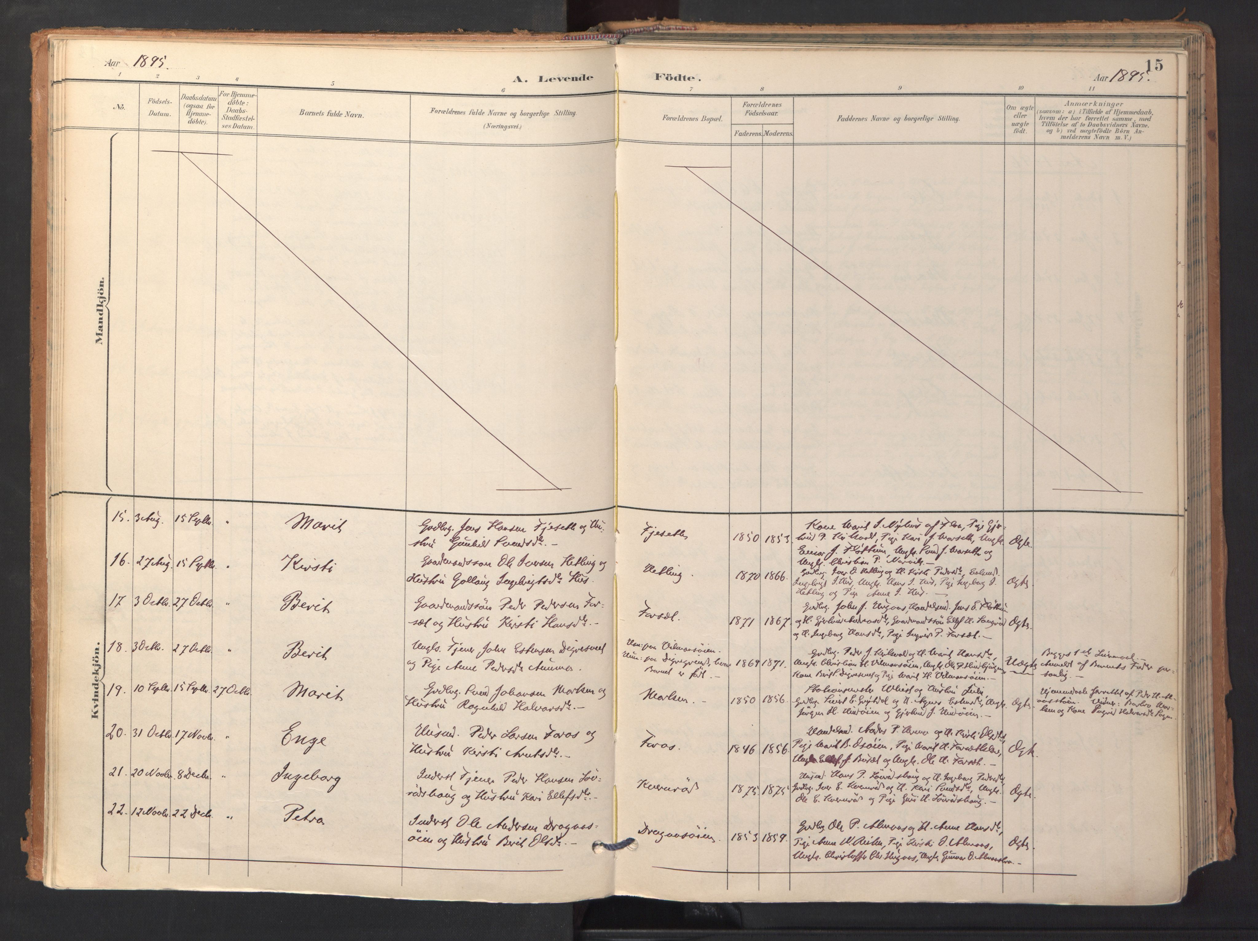 Ministerialprotokoller, klokkerbøker og fødselsregistre - Sør-Trøndelag, AV/SAT-A-1456/688/L1025: Parish register (official) no. 688A02, 1891-1909, p. 15