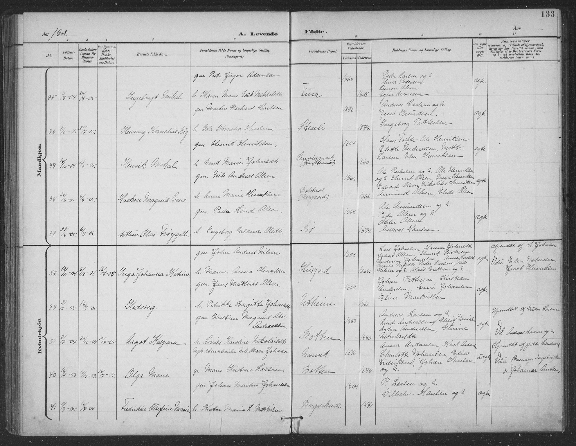 Ministerialprotokoller, klokkerbøker og fødselsregistre - Nordland, SAT/A-1459/863/L0899: Parish register (official) no. 863A11, 1897-1906, p. 133