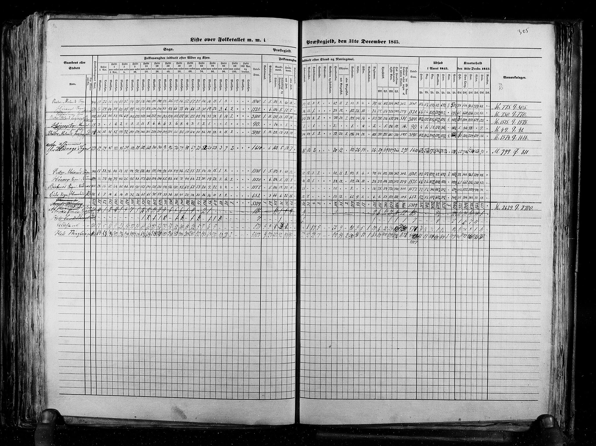 RA, Census 1845, vol. 5: Bratsberg amt og Nedenes og Råbyggelaget amt, 1845, p. 325