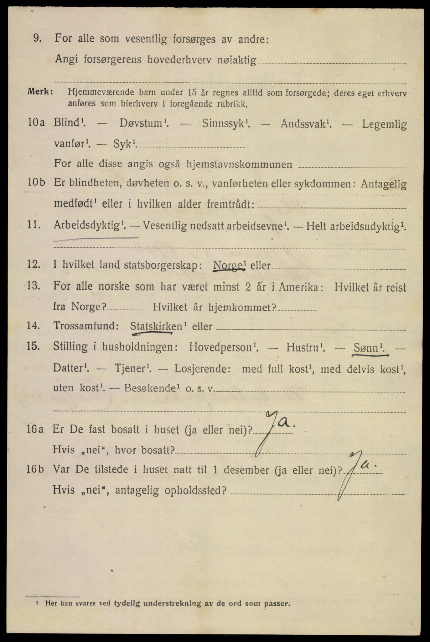 SAKO, 1920 census for Langesund, 1920, p. 1668