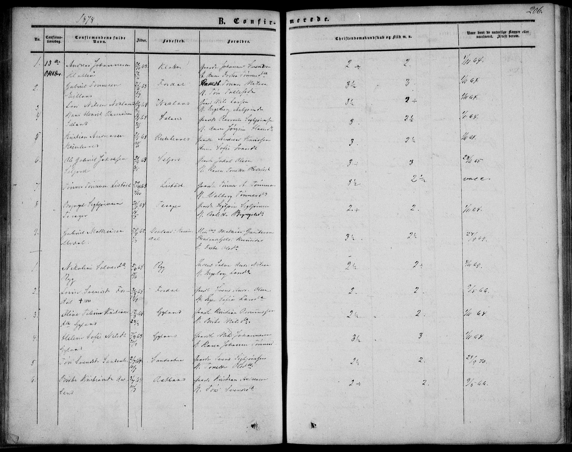 Bakke sokneprestkontor, AV/SAK-1111-0002/F/Fa/Fab/L0002: Parish register (official) no. A 2, 1855-1884, p. 206