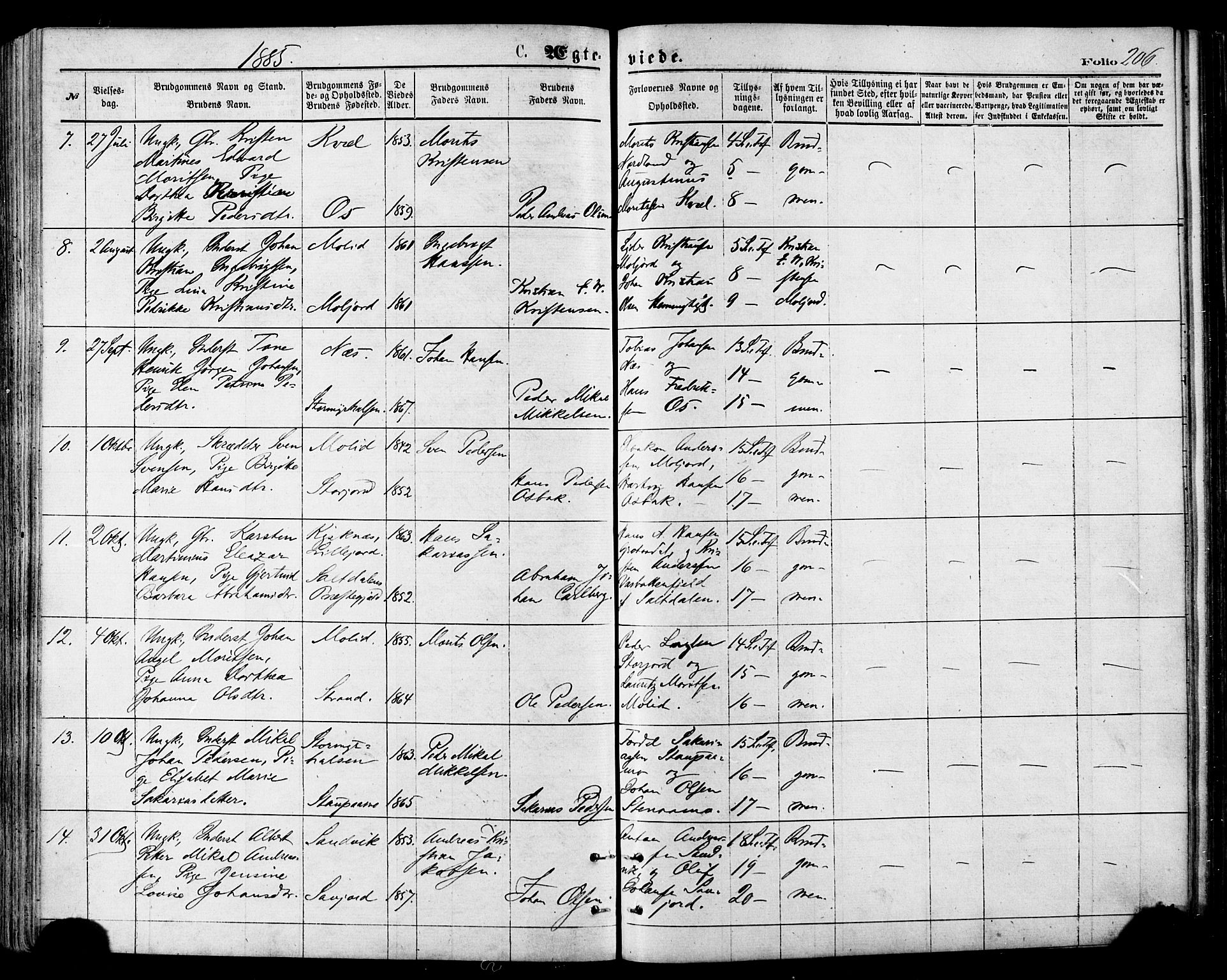 Ministerialprotokoller, klokkerbøker og fødselsregistre - Nordland, AV/SAT-A-1459/846/L0645: Parish register (official) no. 846A03, 1872-1886, p. 206