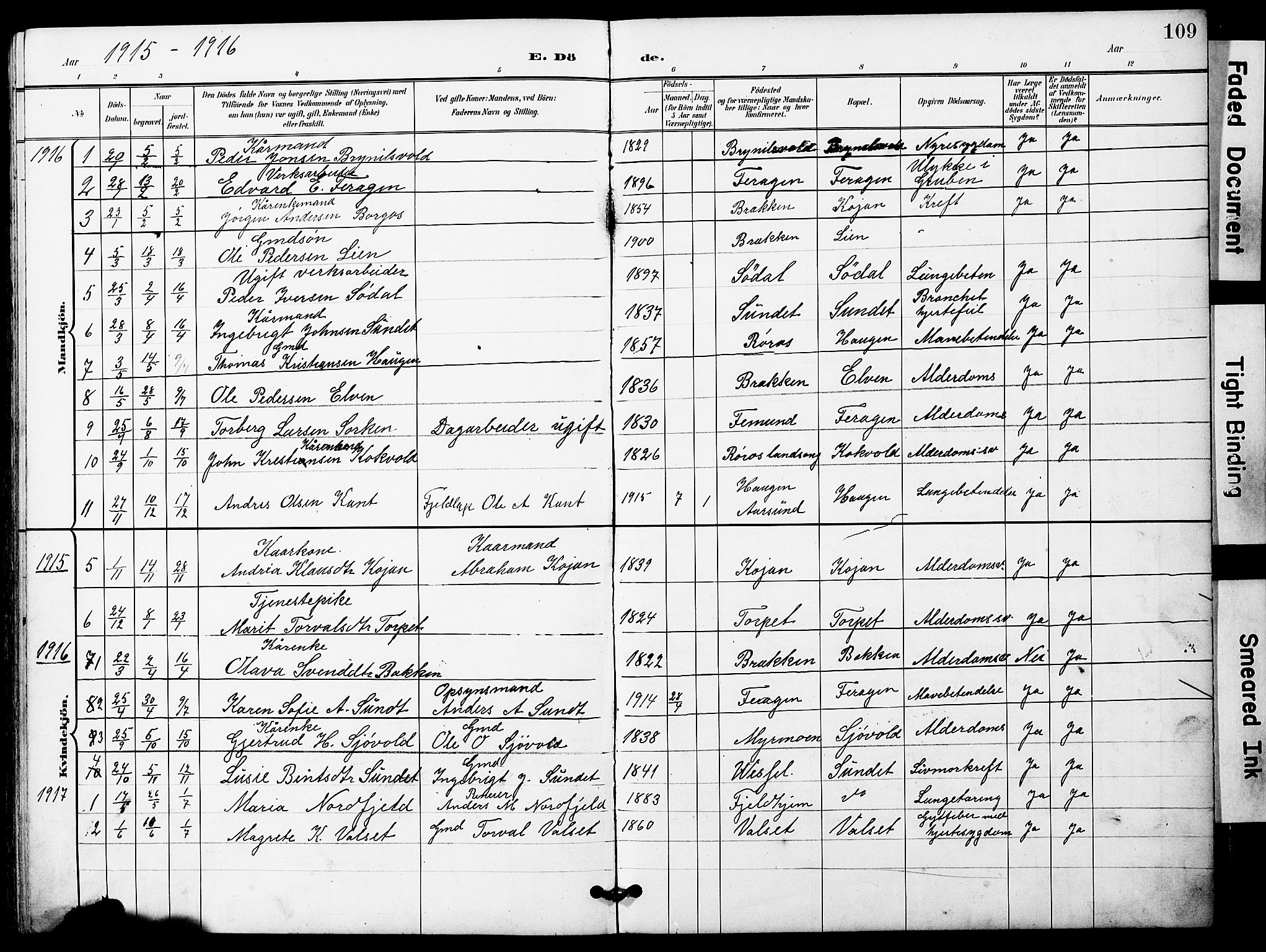 Ministerialprotokoller, klokkerbøker og fødselsregistre - Sør-Trøndelag, SAT/A-1456/683/L0950: Parish register (copy) no. 683C02, 1897-1918, p. 109