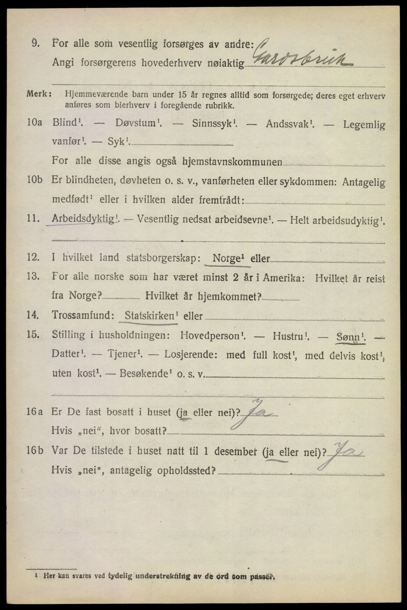 SAKO, 1920 census for Rauland, 1920, p. 1015