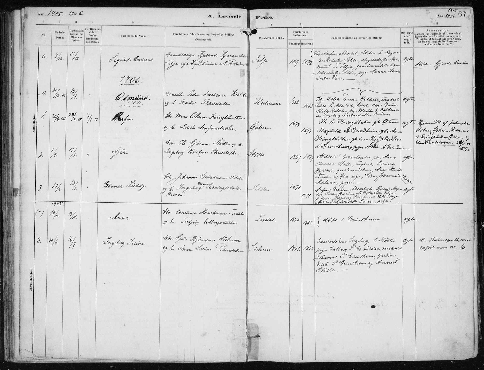 Etne sokneprestembete, AV/SAB-A-75001/H/Haa: Parish register (official) no. B  1, 1879-1919, p. 67