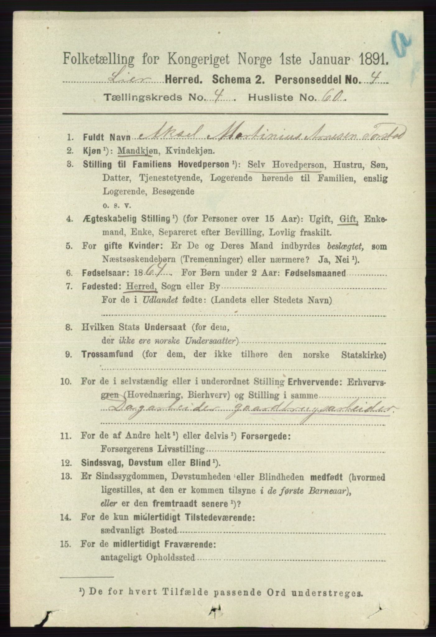 RA, 1891 census for 0626 Lier, 1891, p. 3210