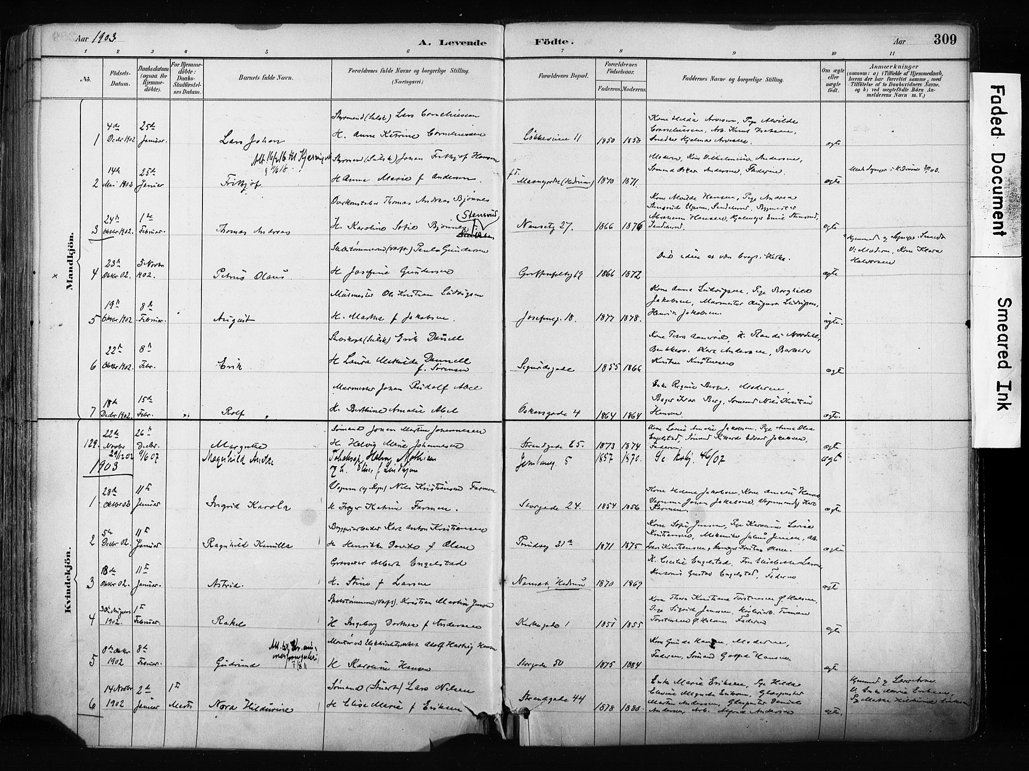 Larvik kirkebøker, SAKO/A-352/F/Fa/L0009: Parish register (official) no. I 9, 1884-1904, p. 309
