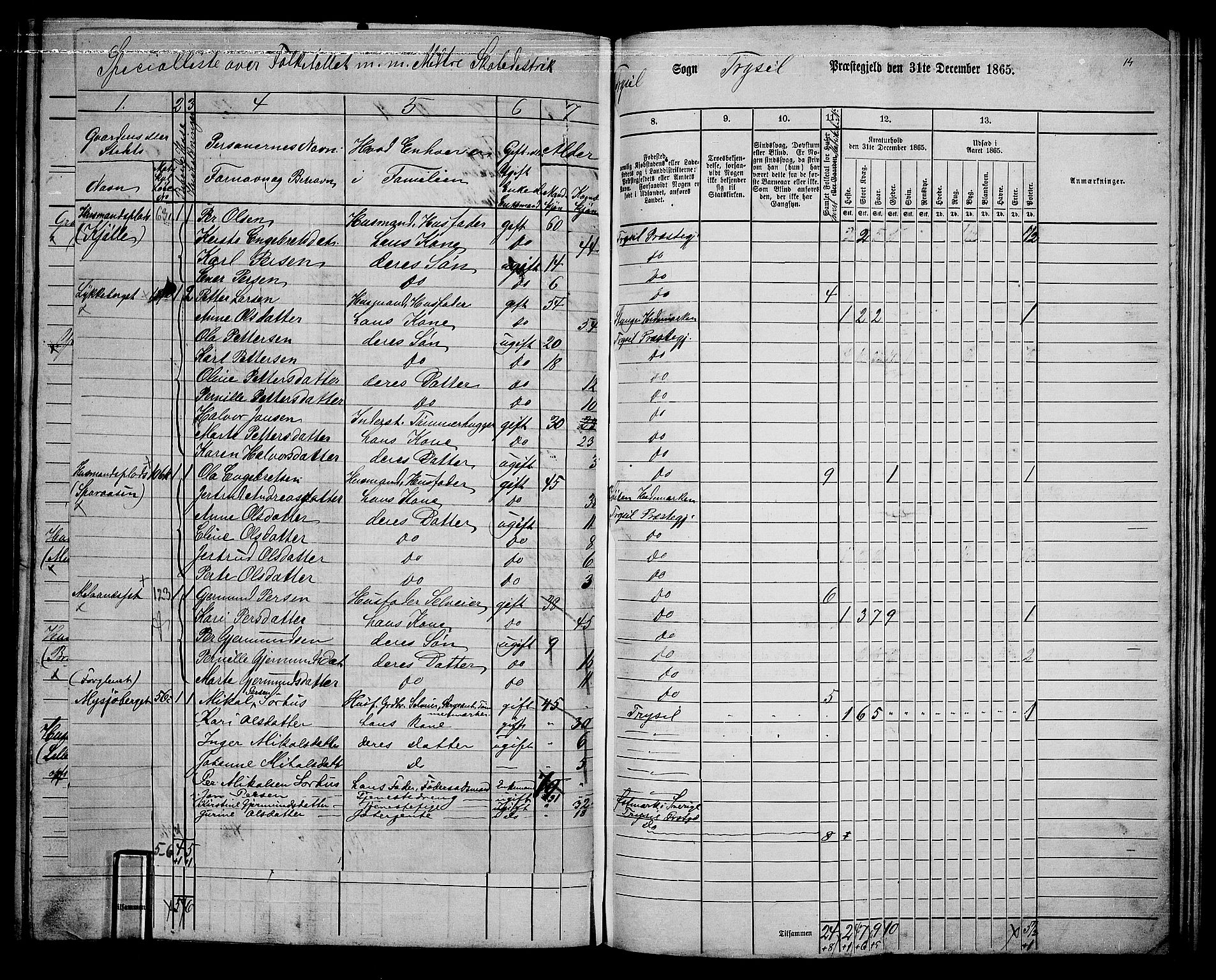 RA, 1865 census for Trysil, 1865, p. 125