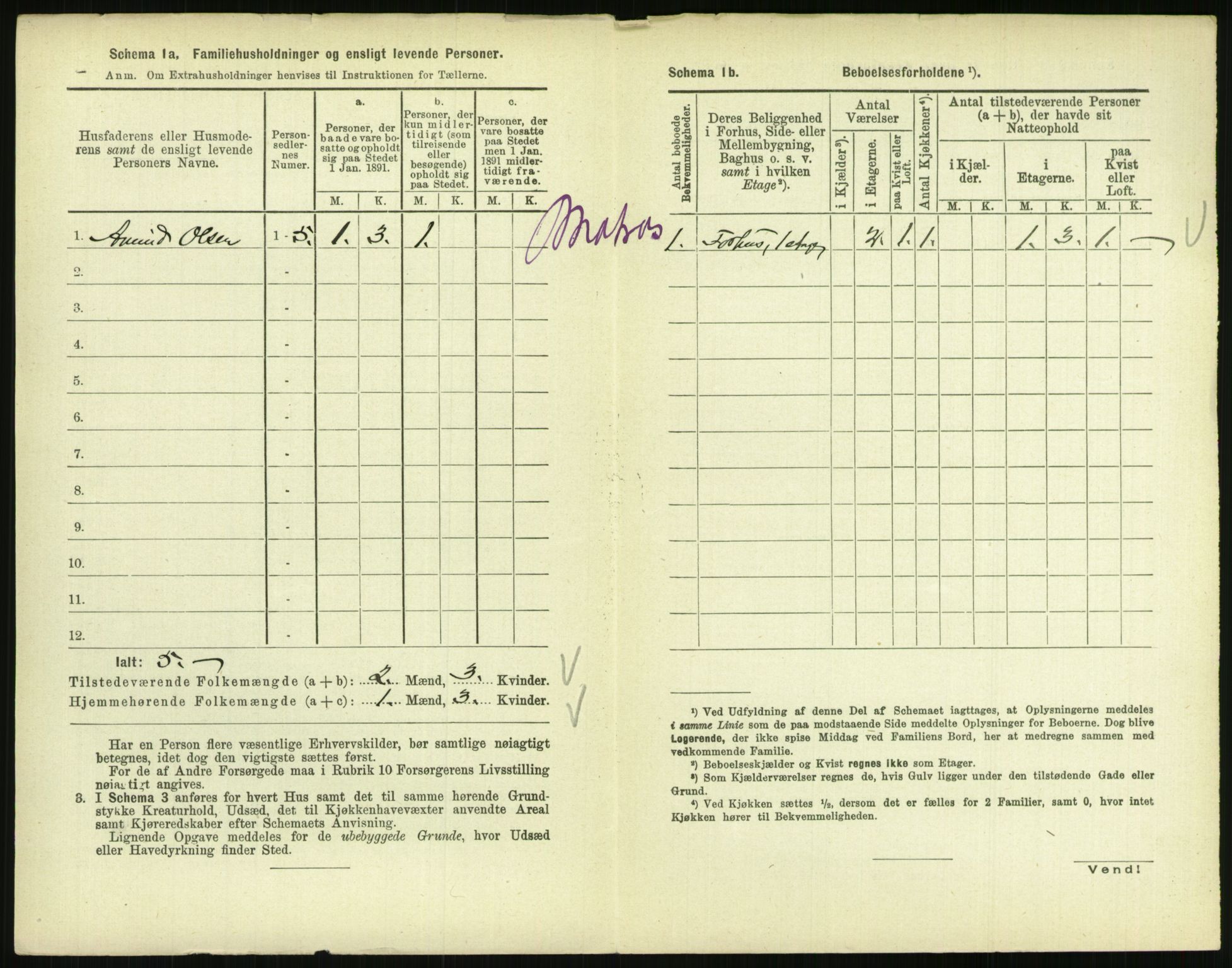 RA, 1891 census for 0801 Kragerø, 1891, p. 1199