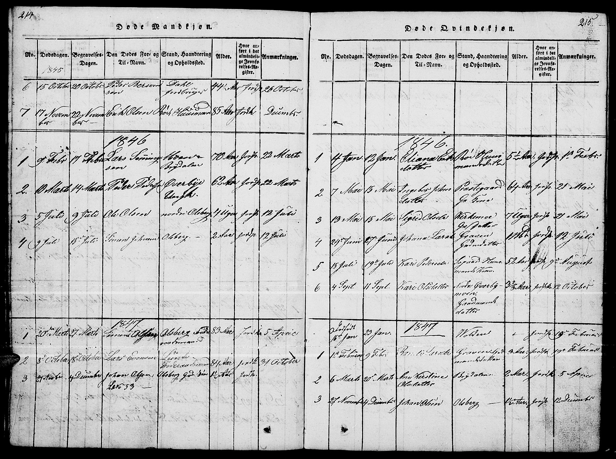 Tynset prestekontor, SAH/PREST-058/H/Ha/Hab/L0004: Parish register (copy) no. 4, 1814-1879, p. 214-215
