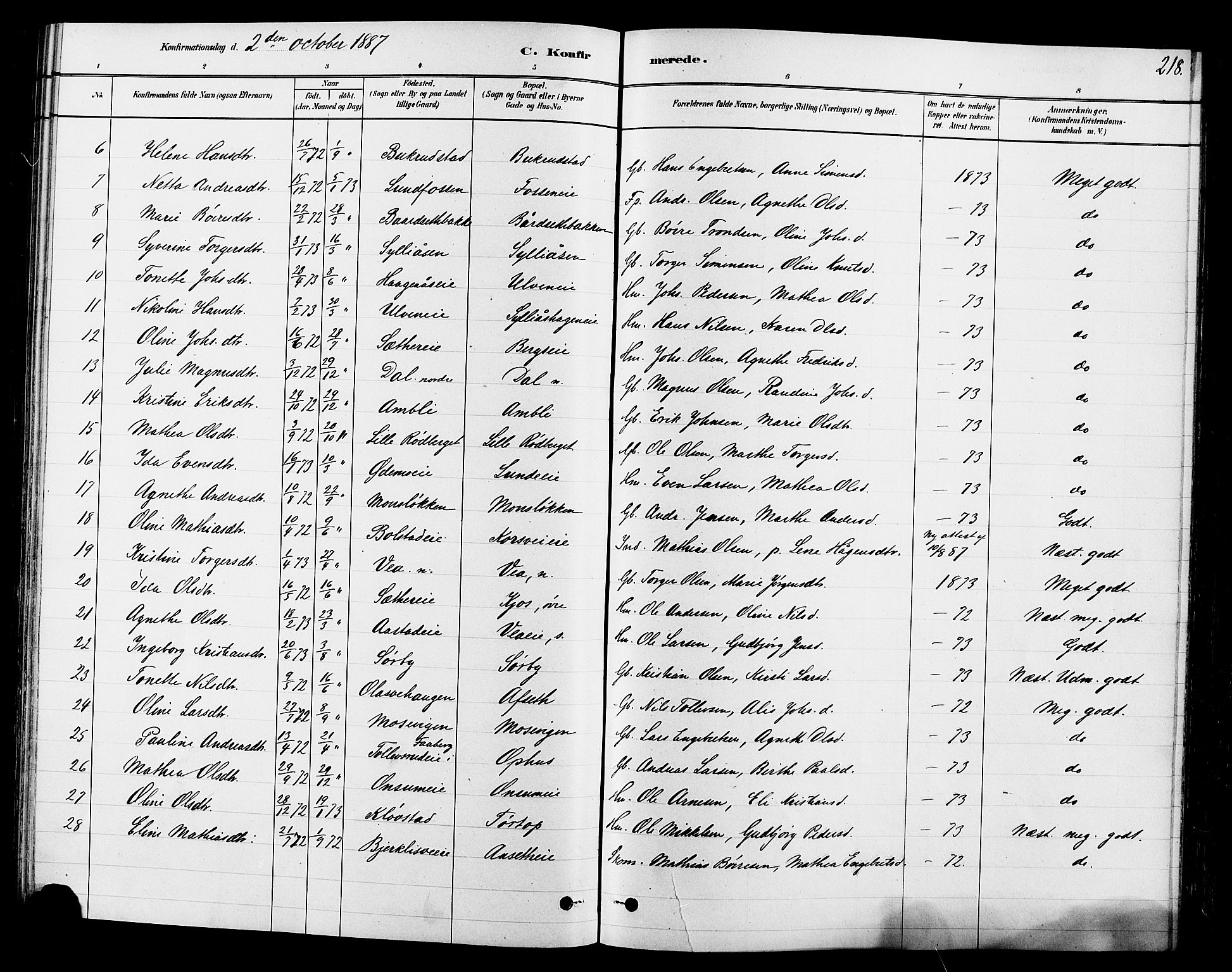 Ringsaker prestekontor, AV/SAH-PREST-014/L/La/L0009: Parish register (copy) no. 9, 1879-1890, p. 218