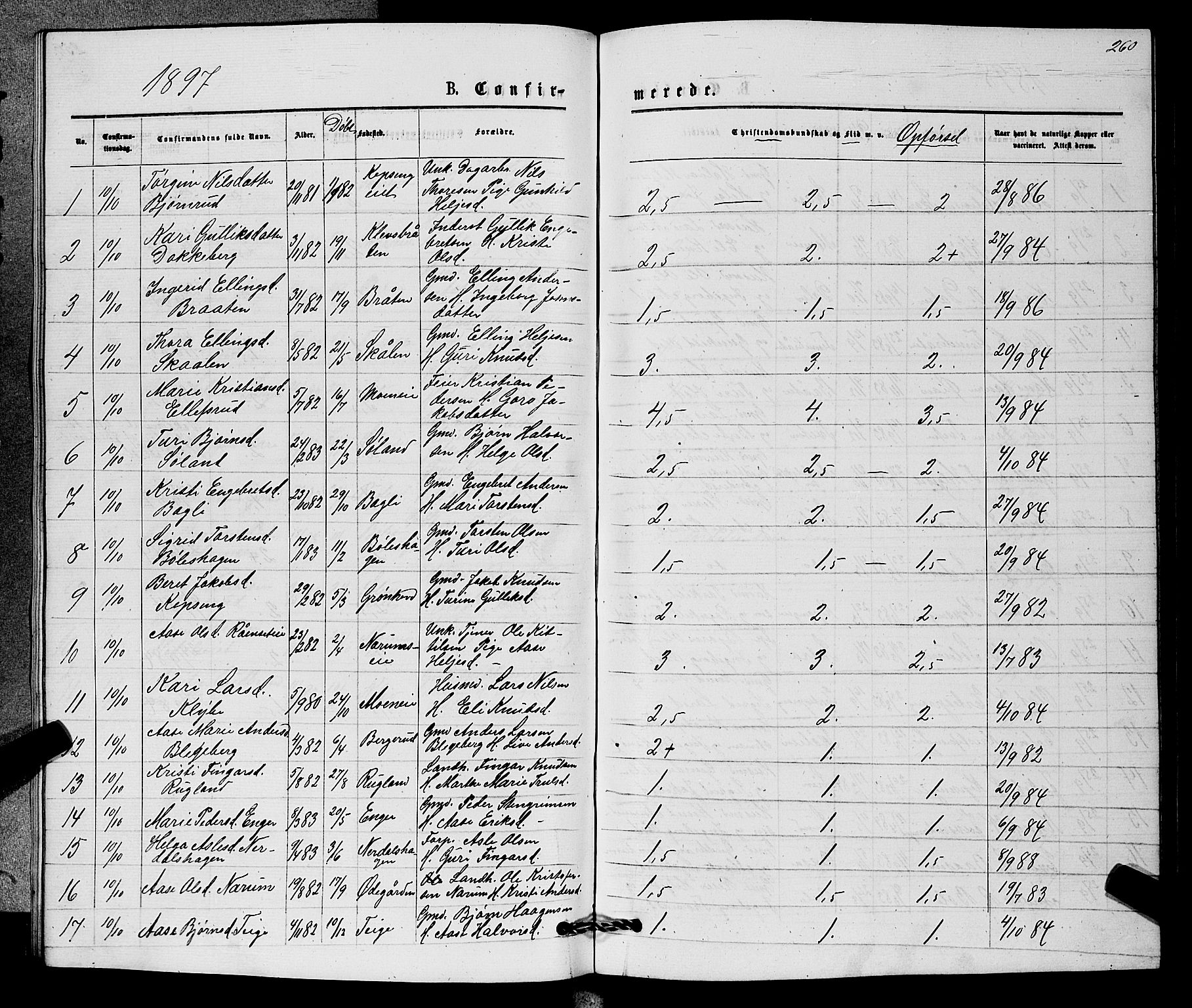 Sigdal kirkebøker, AV/SAKO-A-245/G/Gb/L0002: Parish register (copy) no. II 2, 1875-1900, p. 260