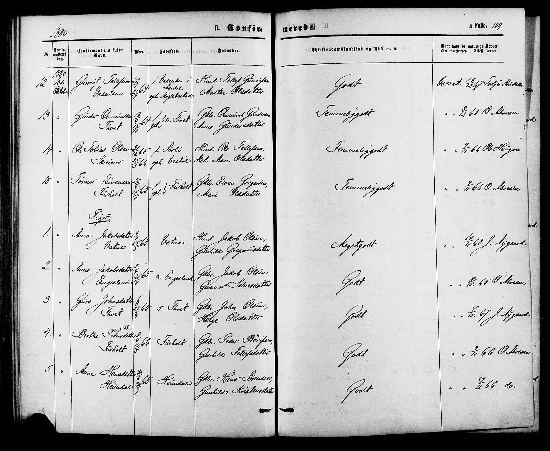 Herefoss sokneprestkontor, AV/SAK-1111-0019/F/Fa/Fab/L0003: Parish register (official) no. A 3, 1875-1886, p. 109