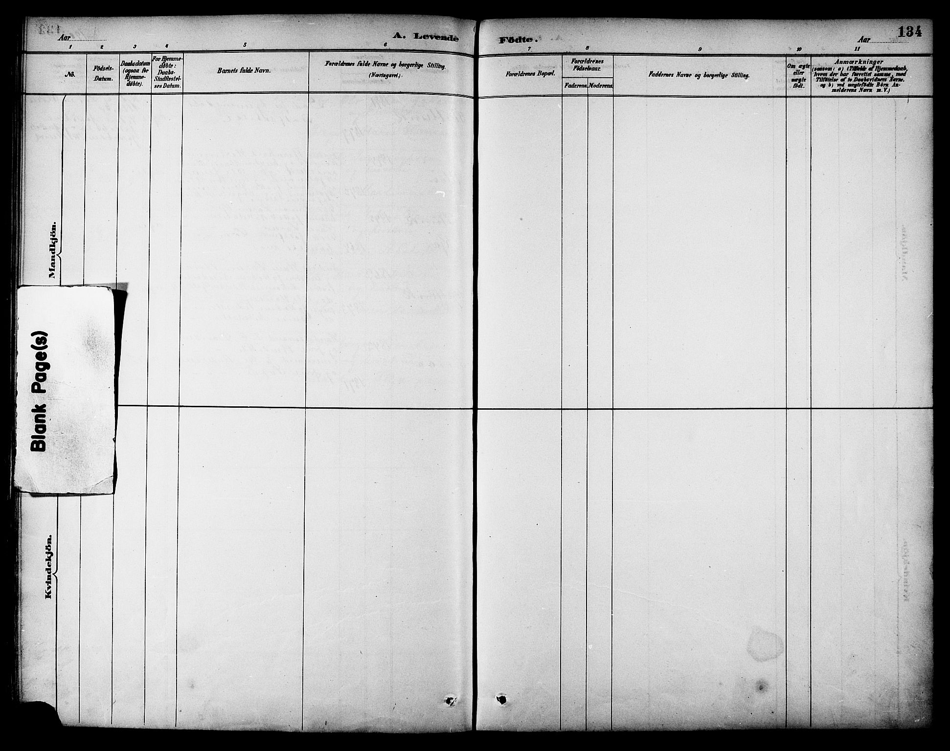 Ministerialprotokoller, klokkerbøker og fødselsregistre - Nordland, AV/SAT-A-1459/861/L0869: Parish register (official) no. 861A04, 1889-1903, p. 134