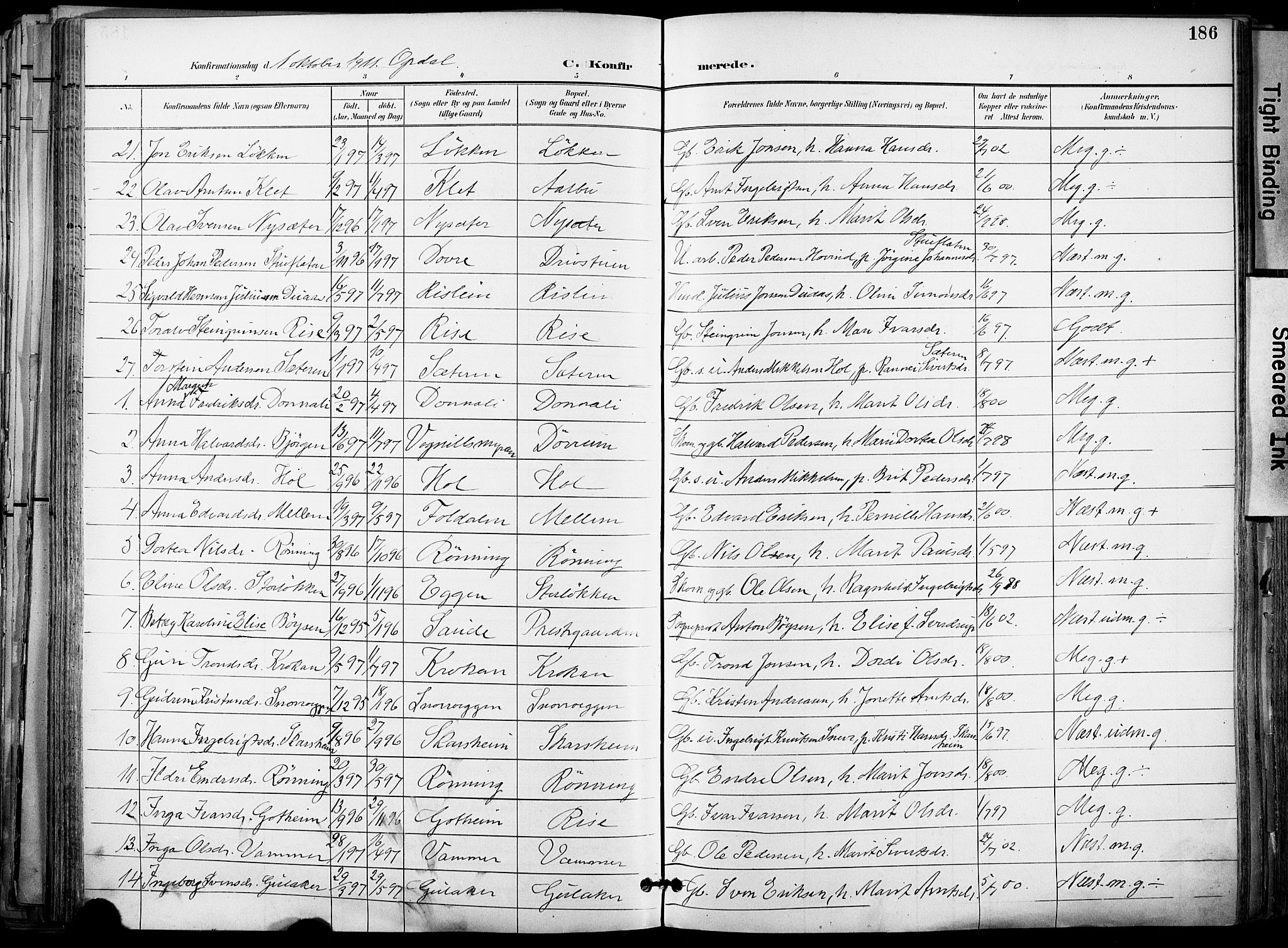 Ministerialprotokoller, klokkerbøker og fødselsregistre - Sør-Trøndelag, AV/SAT-A-1456/678/L0902: Parish register (official) no. 678A11, 1895-1911, p. 186