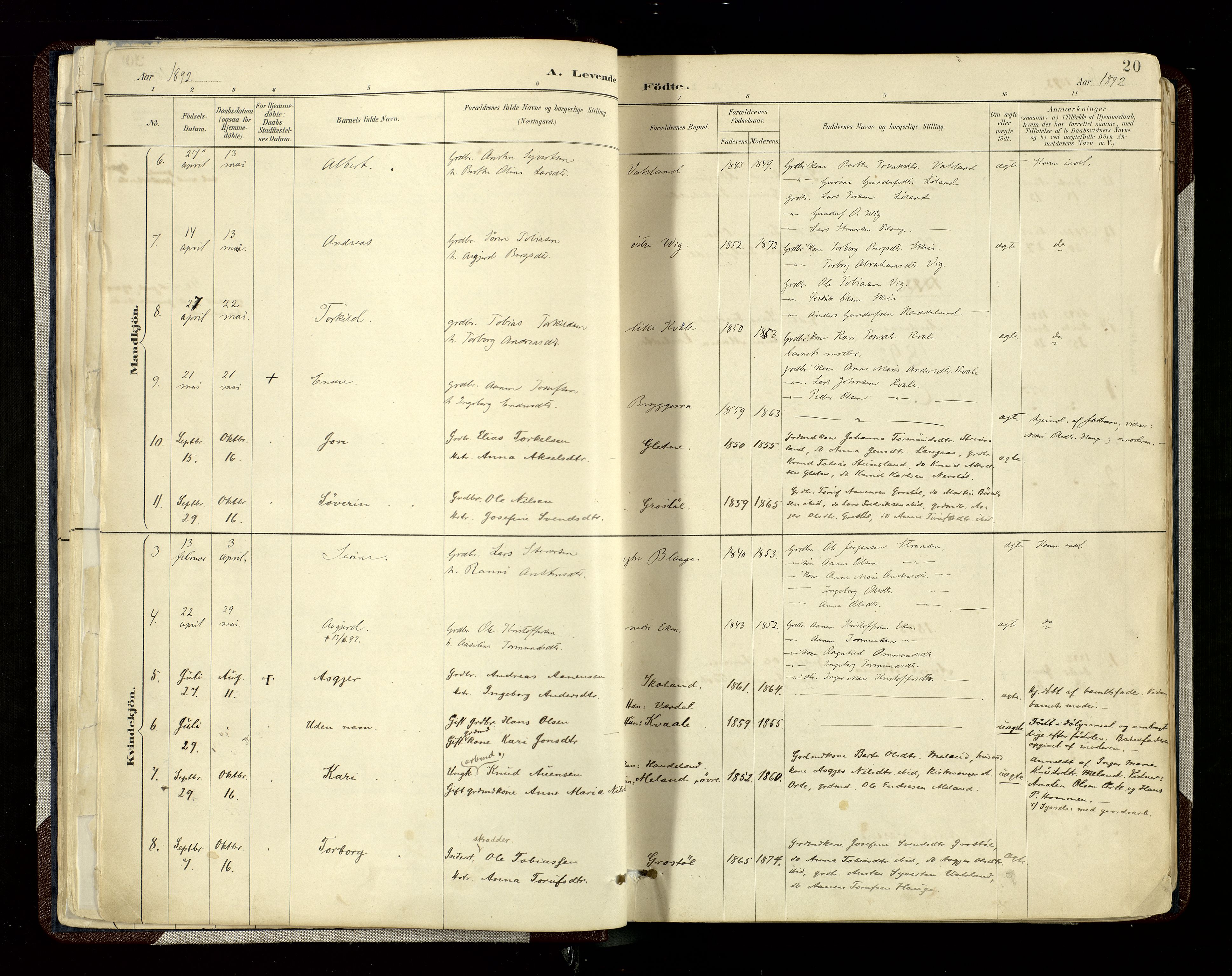 Hægebostad sokneprestkontor, SAK/1111-0024/F/Fa/Fab/L0004: Parish register (official) no. A 4, 1887-1929, p. 20