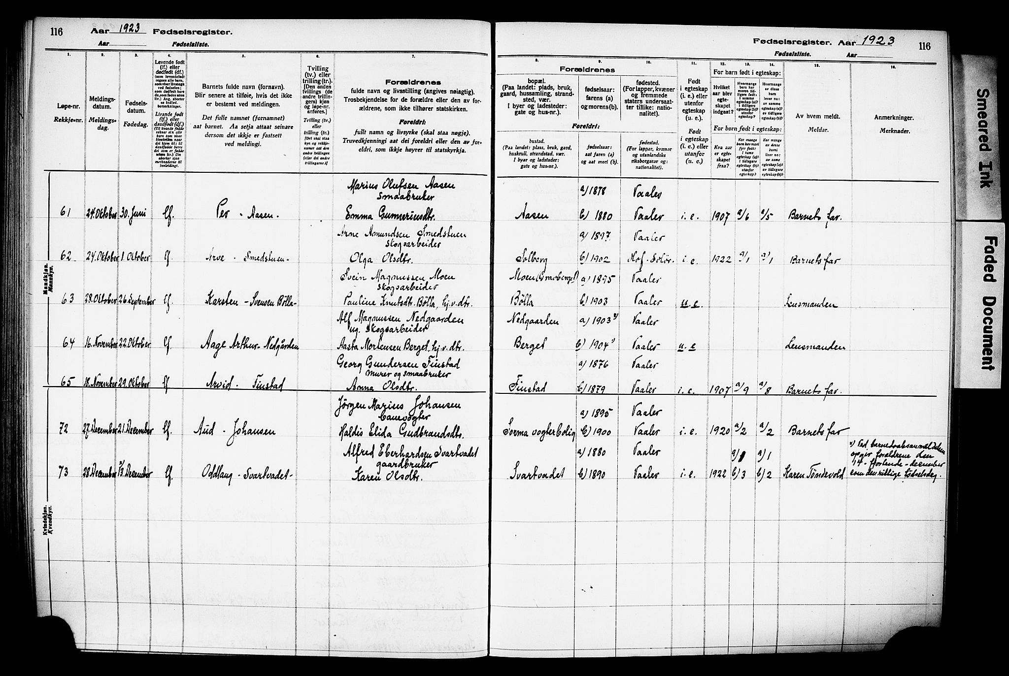 Våler prestekontor, Hedmark, AV/SAH-PREST-040/I/Id/L0001: Birth register no. 1, 1916-1930, p. 116