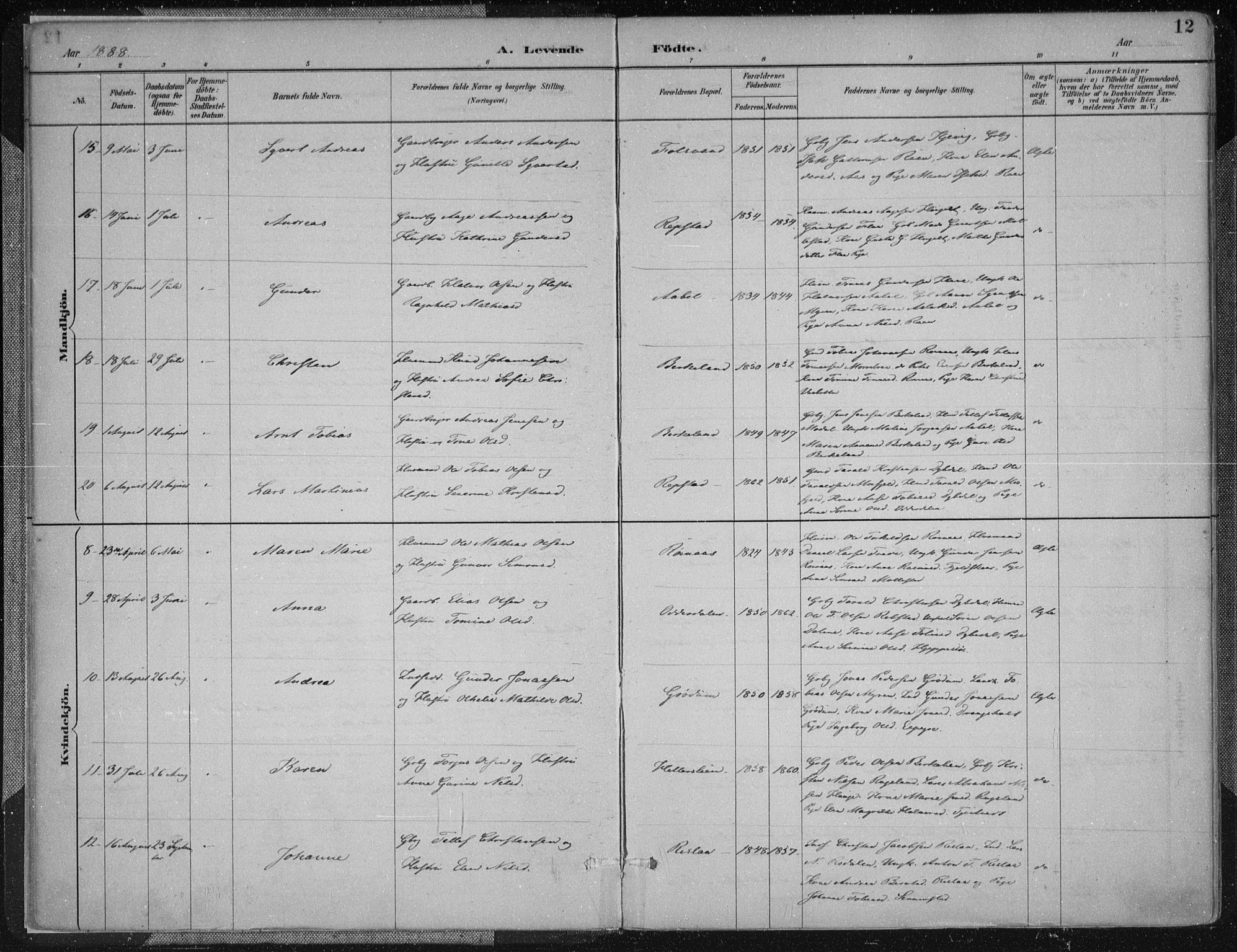 Birkenes sokneprestkontor, SAK/1111-0004/F/Fa/L0005: Parish register (official) no. A 5, 1887-1907, p. 12