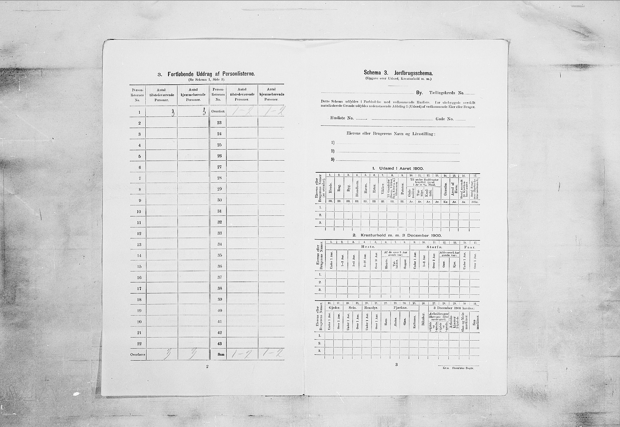 SAKO, 1900 census for Brevik, 1900, p. 1339