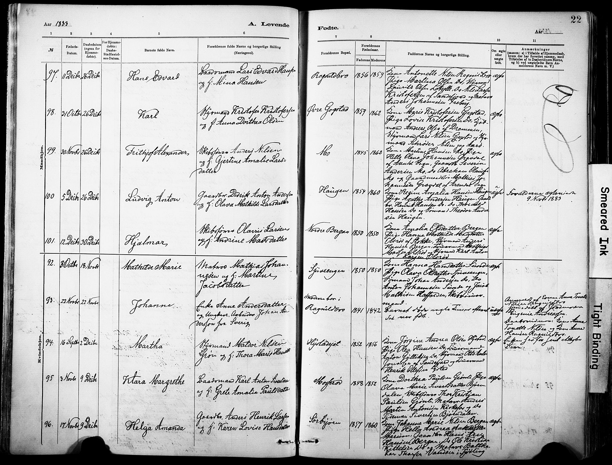 Sandar kirkebøker, AV/SAKO-A-243/F/Fa/L0012: Parish register (official) no. 12, 1883-1895, p. 22