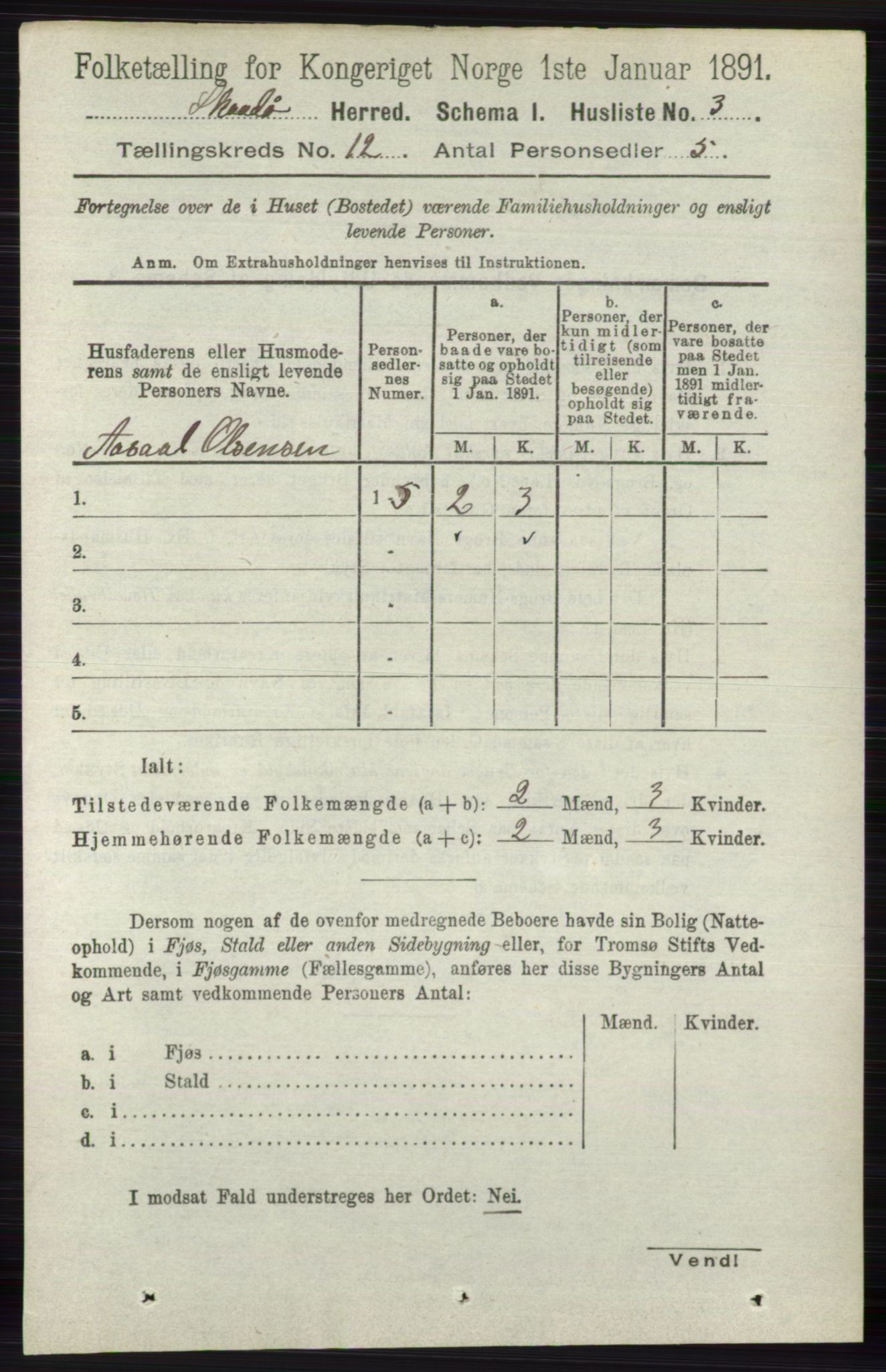 RA, 1891 census for 0815 Skåtøy, 1891, p. 4276