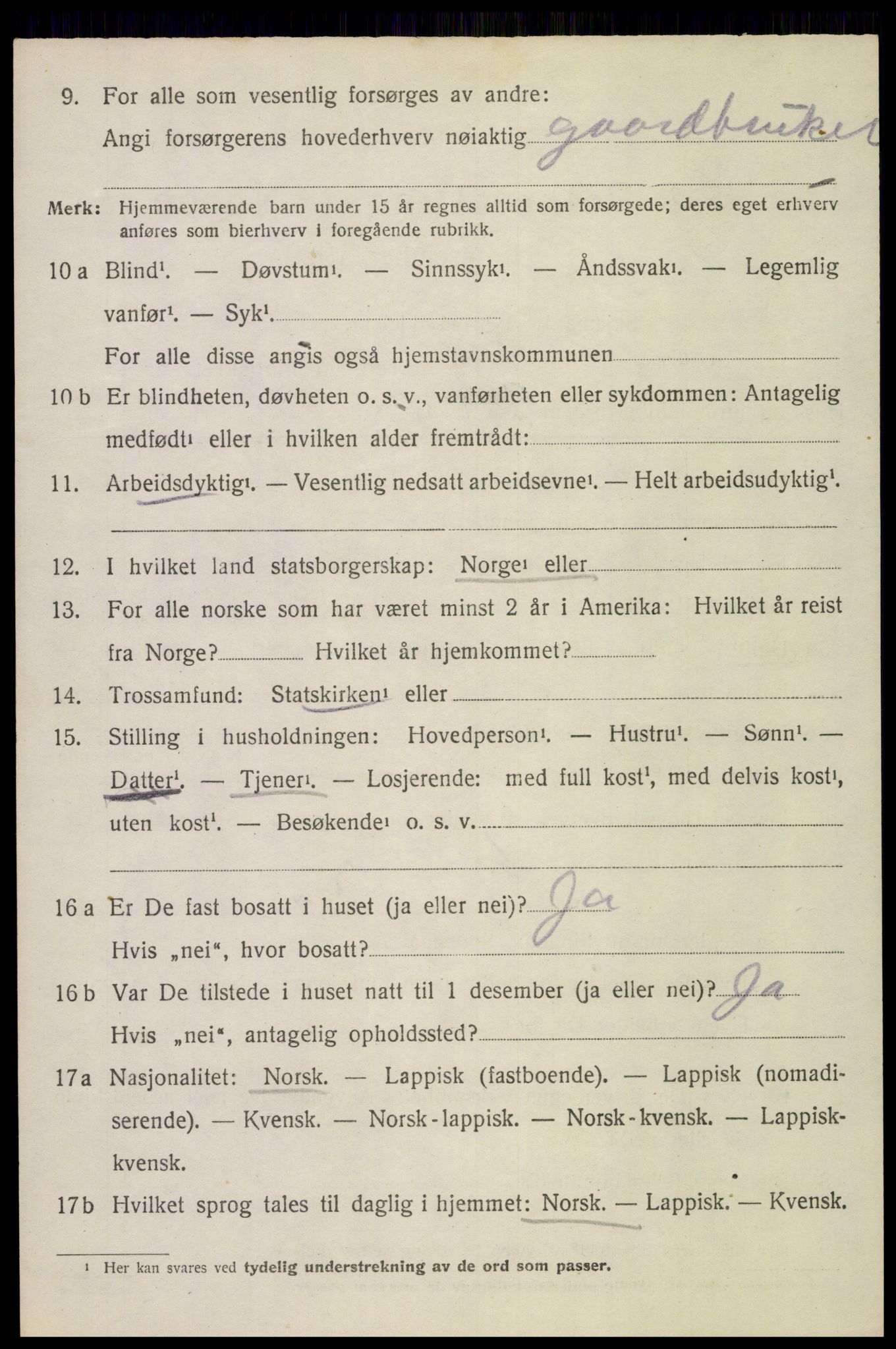 SAT, 1920 census for Bø, 1920, p. 8513