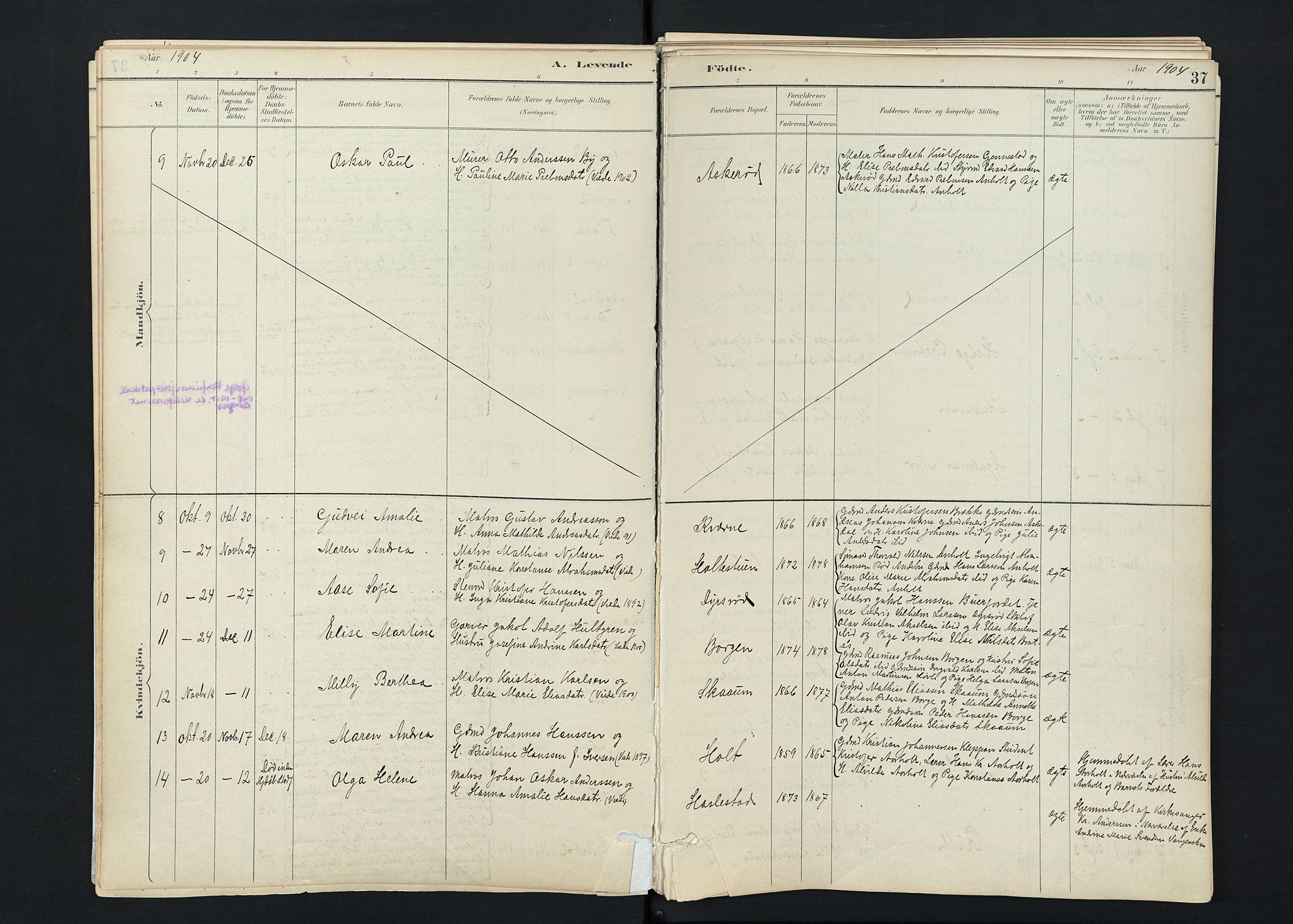 Stokke kirkebøker, AV/SAKO-A-320/F/Fc/L0001: Parish register (official) no. III 1, 1884-1910, p. 37