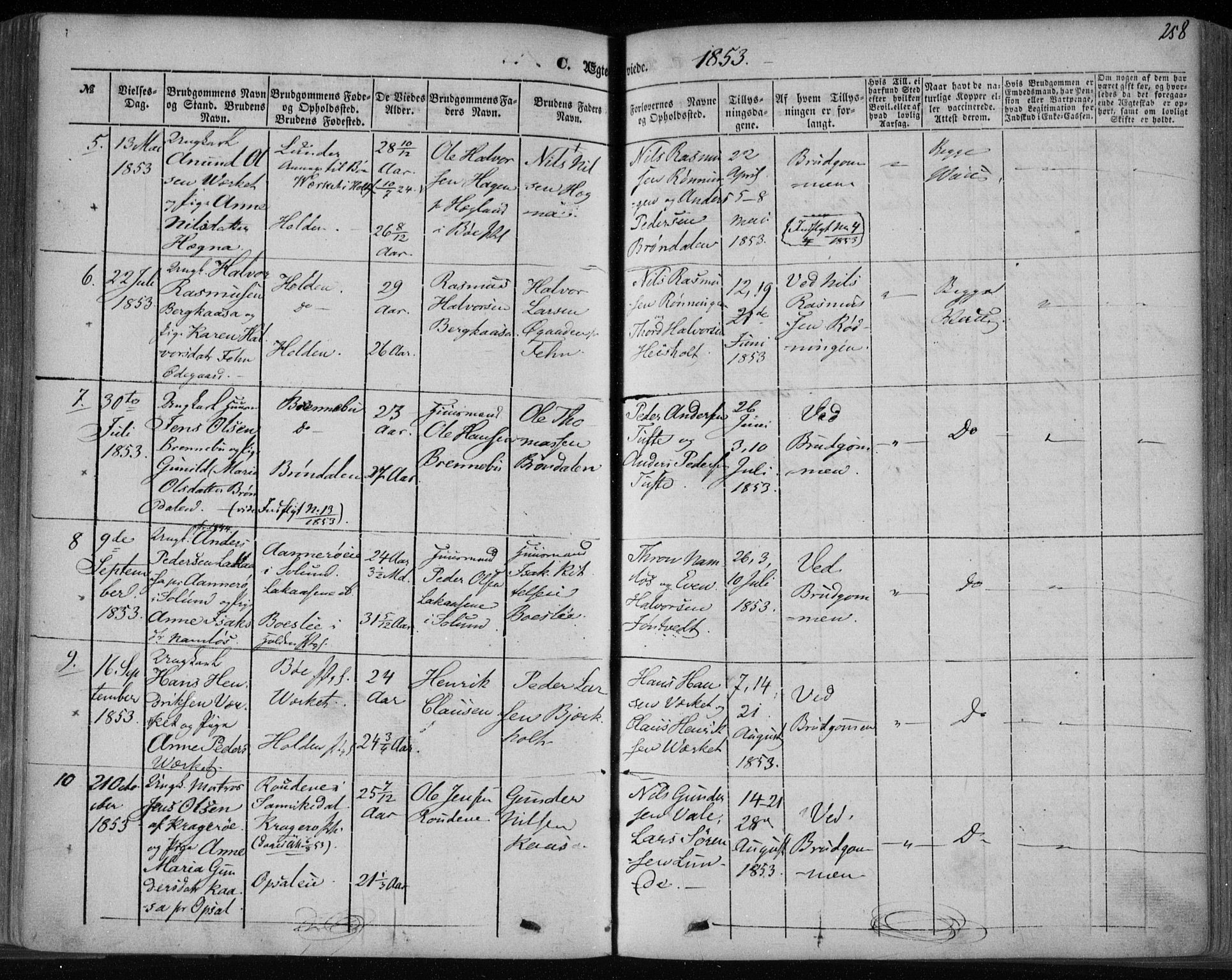 Holla kirkebøker, SAKO/A-272/F/Fa/L0005: Parish register (official) no. 5, 1849-1860, p. 258