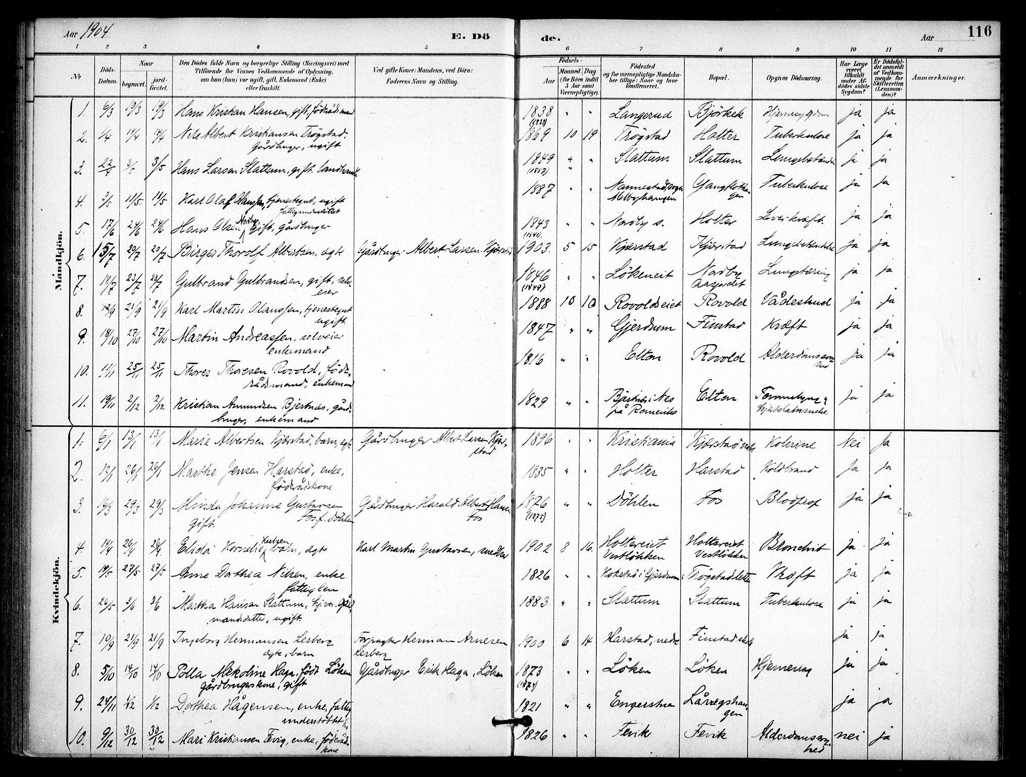 Nannestad prestekontor Kirkebøker, SAO/A-10414a/F/Fb/L0002: Parish register (official) no. II 2, 1891-1909, p. 116