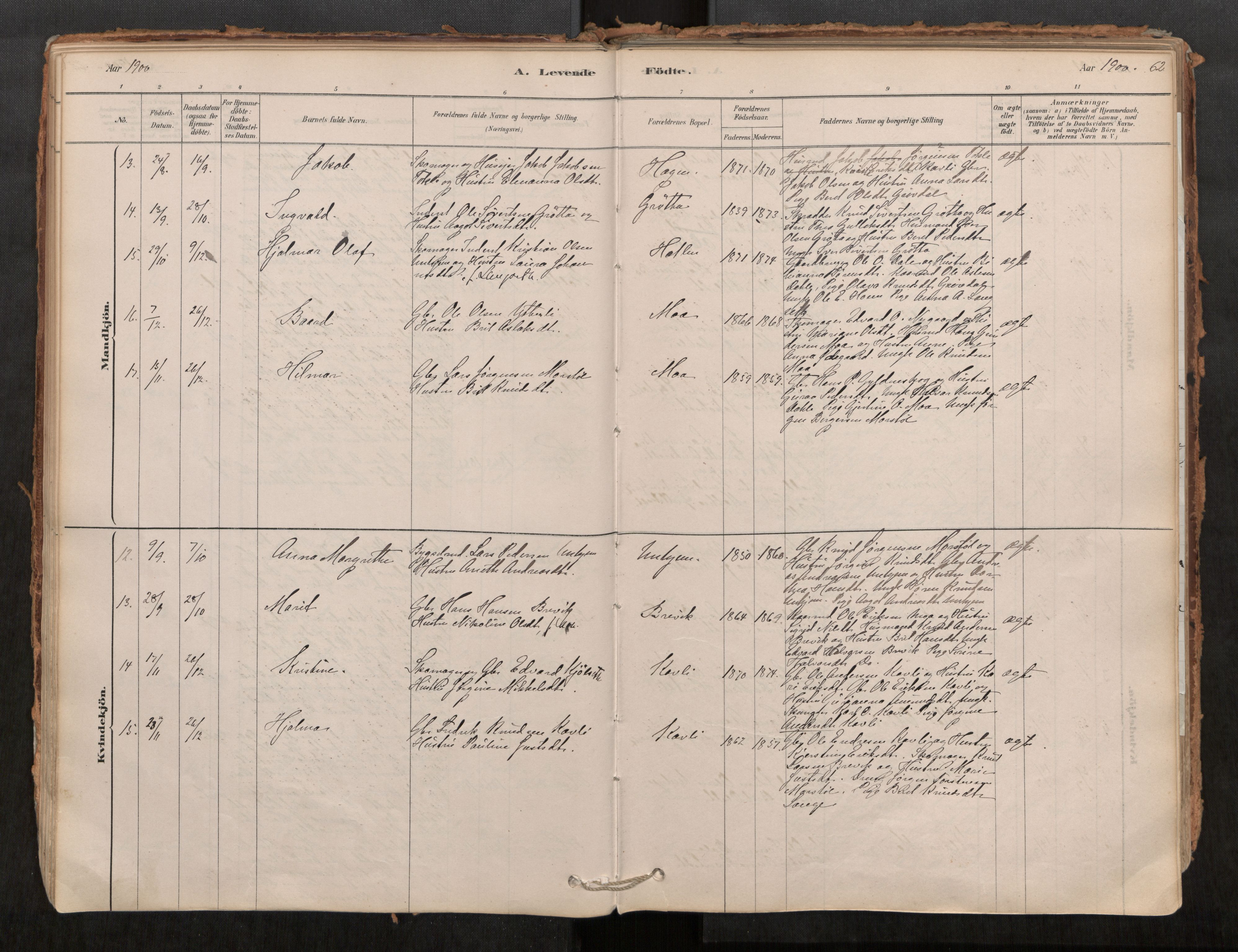 Ministerialprotokoller, klokkerbøker og fødselsregistre - Møre og Romsdal, AV/SAT-A-1454/545/L0594: Parish register (official) no. 545A03, 1878-1920, p. 62