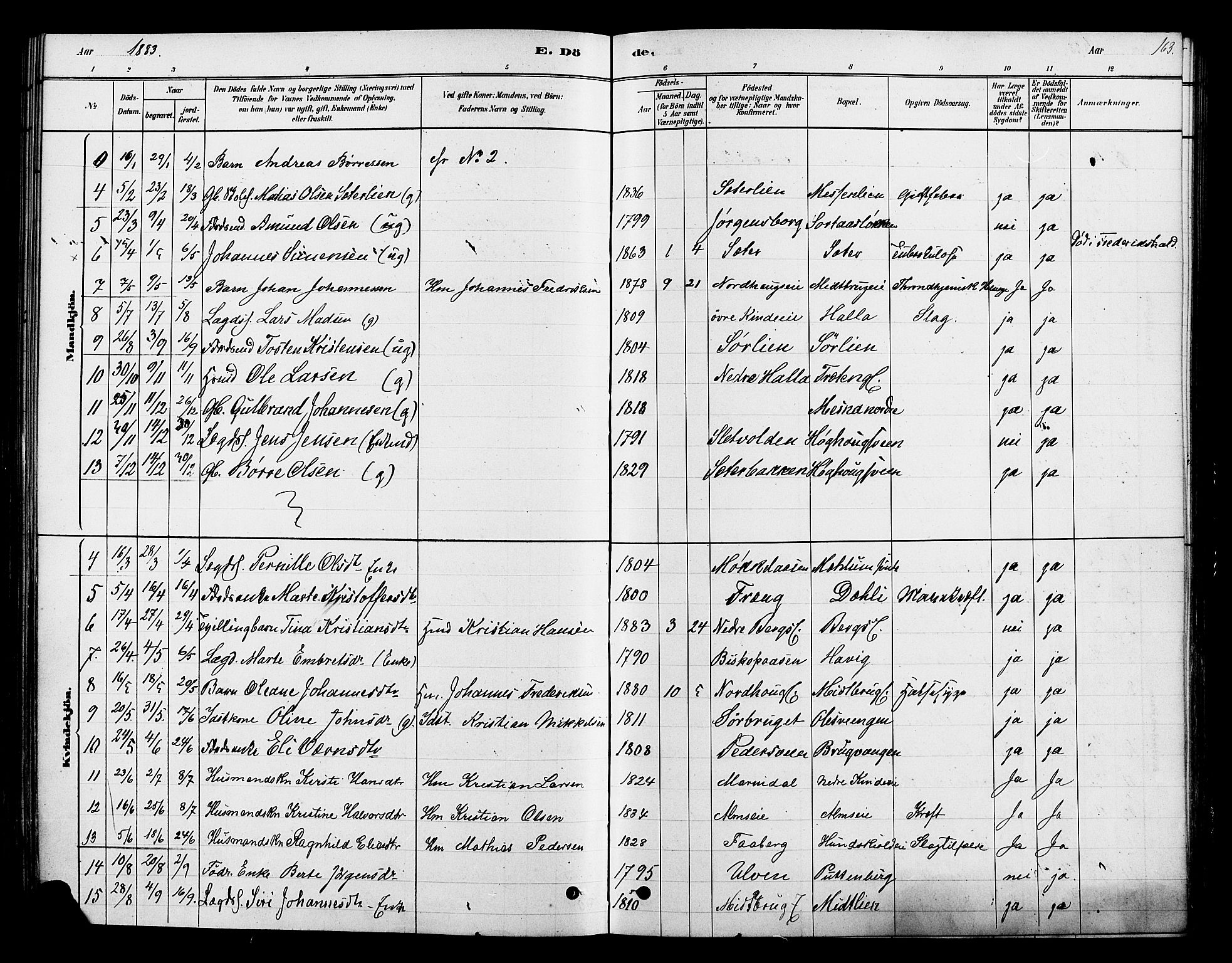 Ringsaker prestekontor, AV/SAH-PREST-014/K/Ka/L0013: Parish register (official) no. 13, 1879-1890, p. 163