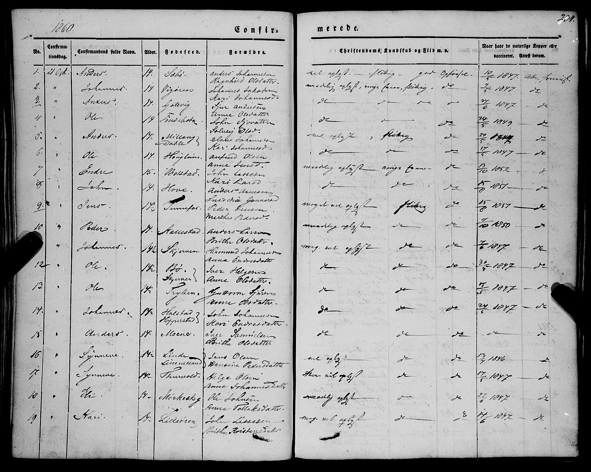 Vik sokneprestembete, AV/SAB-A-81501/H/Haa/Haaa/L0008: Parish register (official) no. A 8, 1846-1865, p. 234