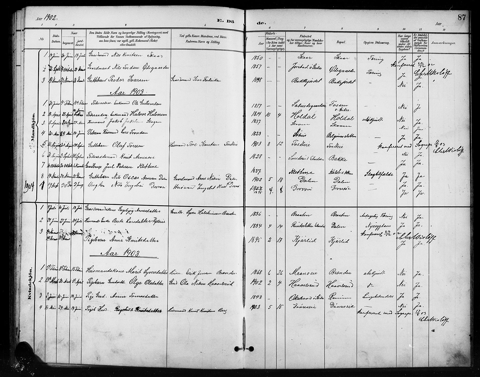 Nord-Aurdal prestekontor, SAH/PREST-132/H/Ha/Hab/L0011: Parish register (copy) no. 11, 1897-1918, p. 87
