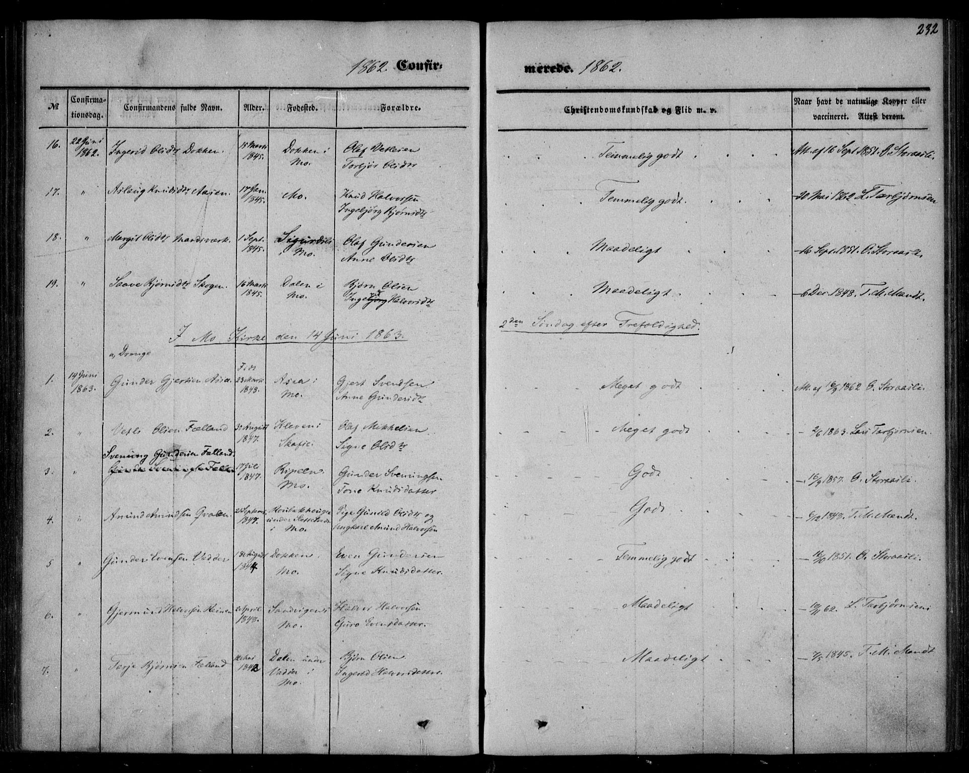Mo kirkebøker, SAKO/A-286/F/Fa/L0005: Parish register (official) no. I 5, 1844-1864, p. 232
