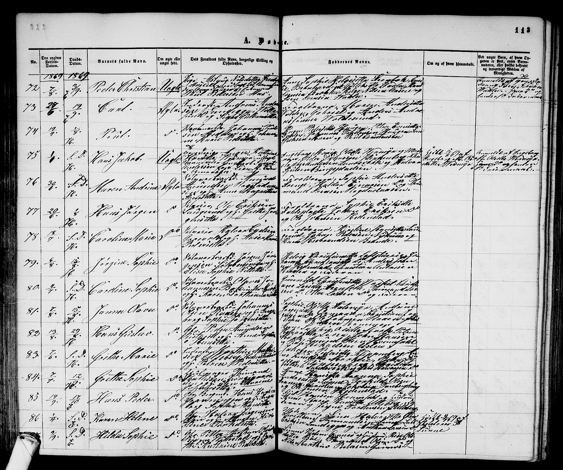 Sandsvær kirkebøker, AV/SAKO-A-244/G/Ga/L0005: Parish register (copy) no. I 5, 1857-1873, p. 113