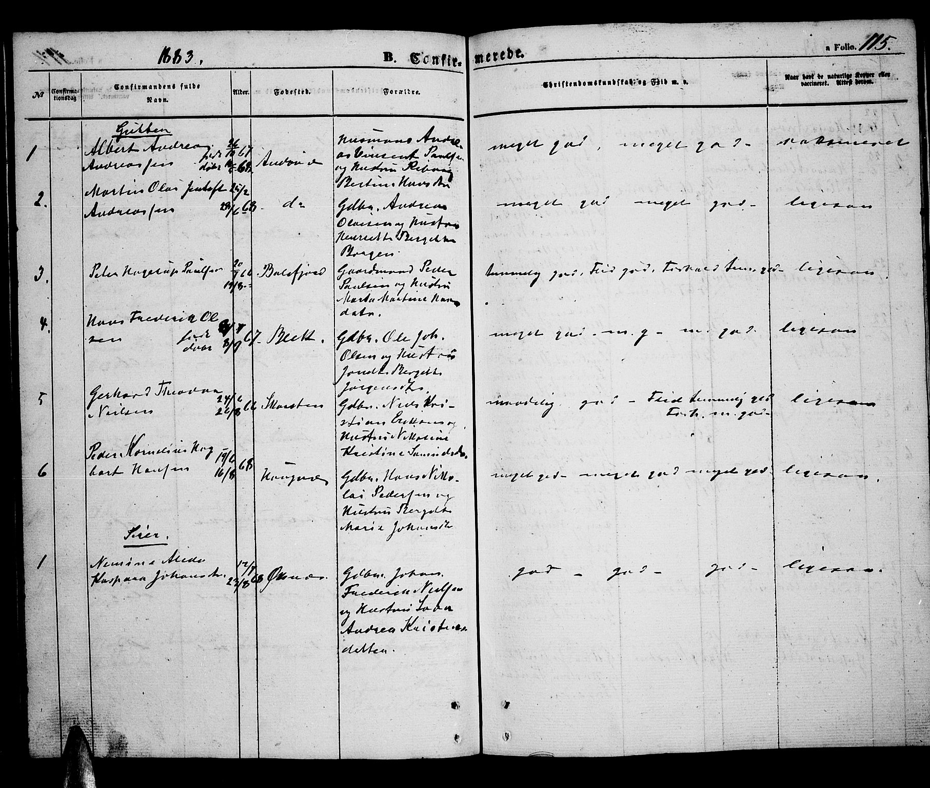 Ministerialprotokoller, klokkerbøker og fødselsregistre - Nordland, AV/SAT-A-1459/899/L1447: Parish register (copy) no. 899C02, 1855-1886, p. 115