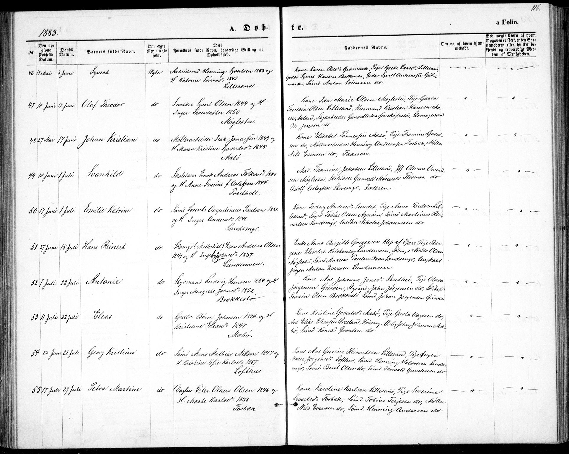 Vestre Moland sokneprestkontor, AV/SAK-1111-0046/F/Fb/Fbb/L0005: Parish register (copy) no. B 5, 1872-1883, p. 116