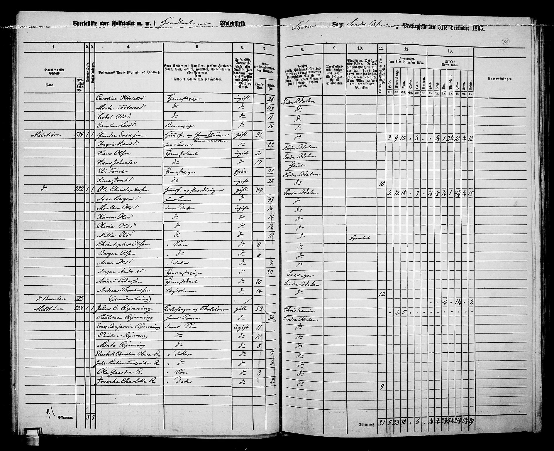 RA, 1865 census for Sør-Odal, 1865, p. 64