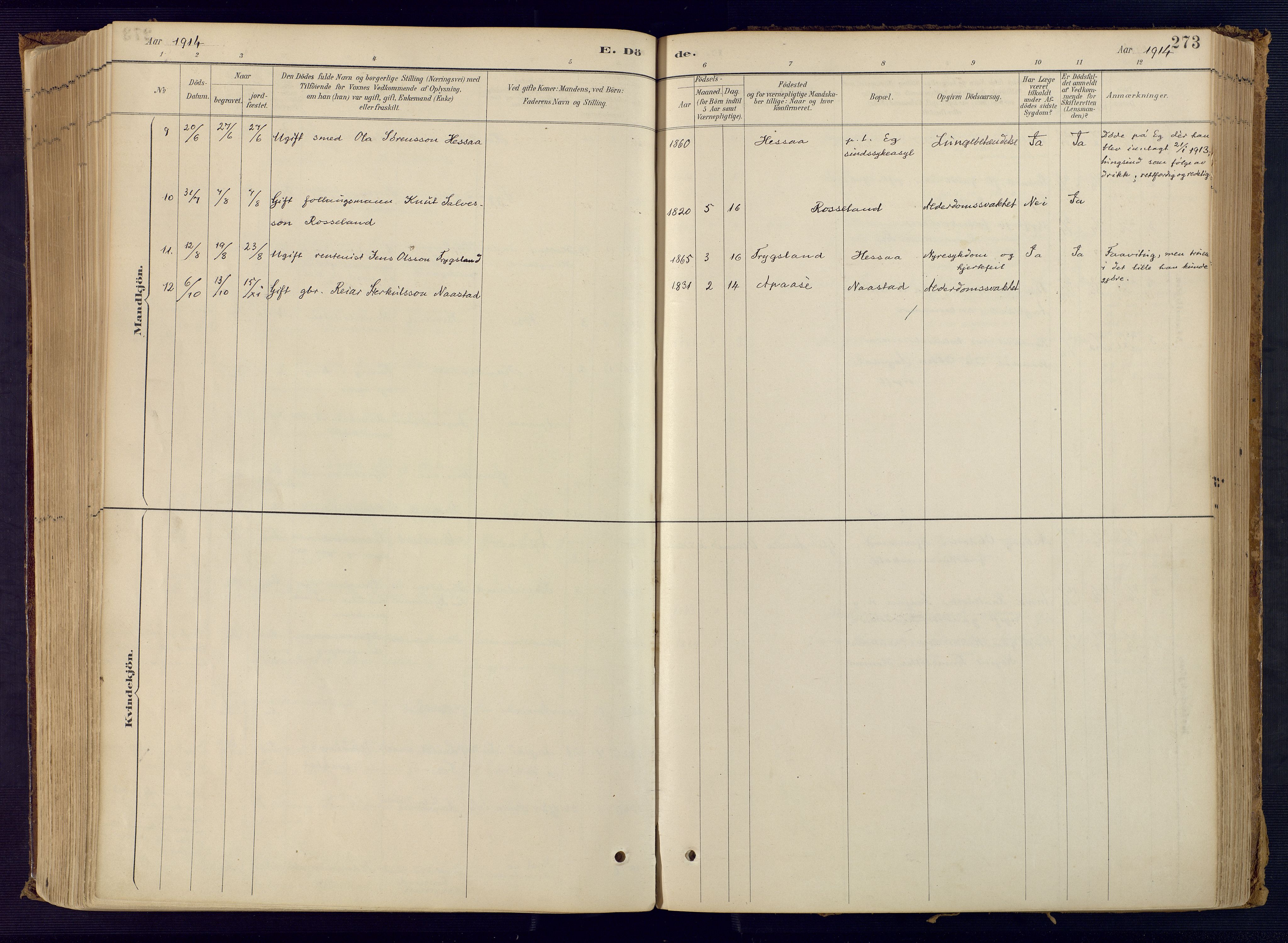 Bjelland sokneprestkontor, AV/SAK-1111-0005/F/Fa/Faa/L0004: Parish register (official) no. A 4, 1887-1923, p. 273