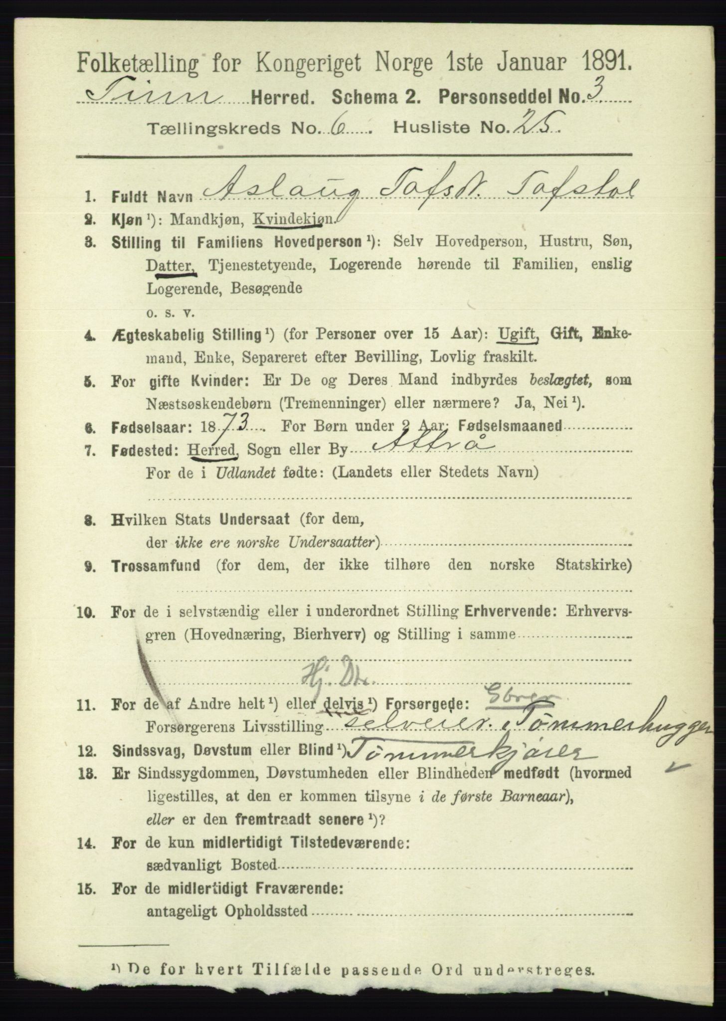 RA, 1891 census for 0826 Tinn, 1891, p. 1389