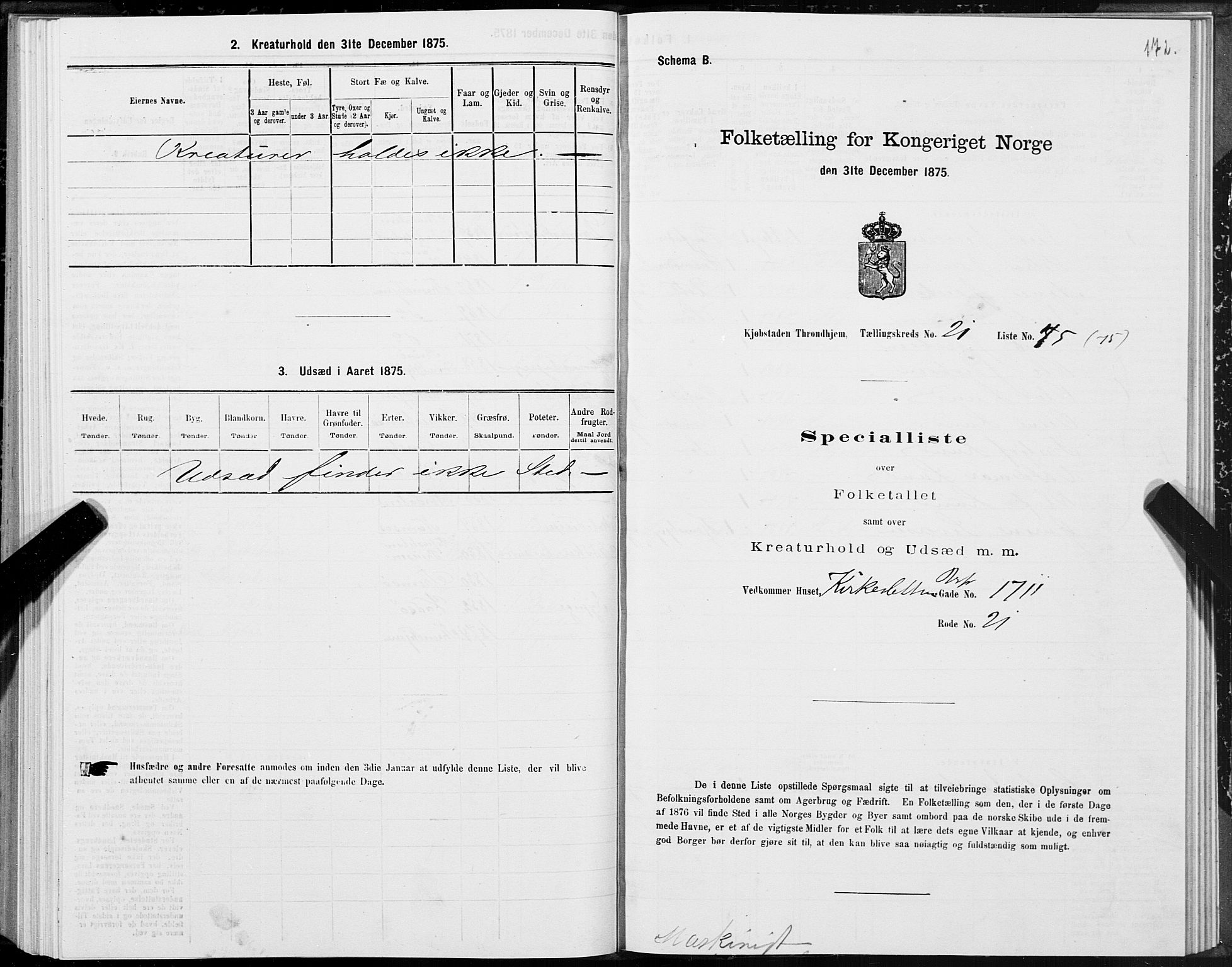 SAT, 1875 census for 1601 Trondheim, 1875, p. 11172