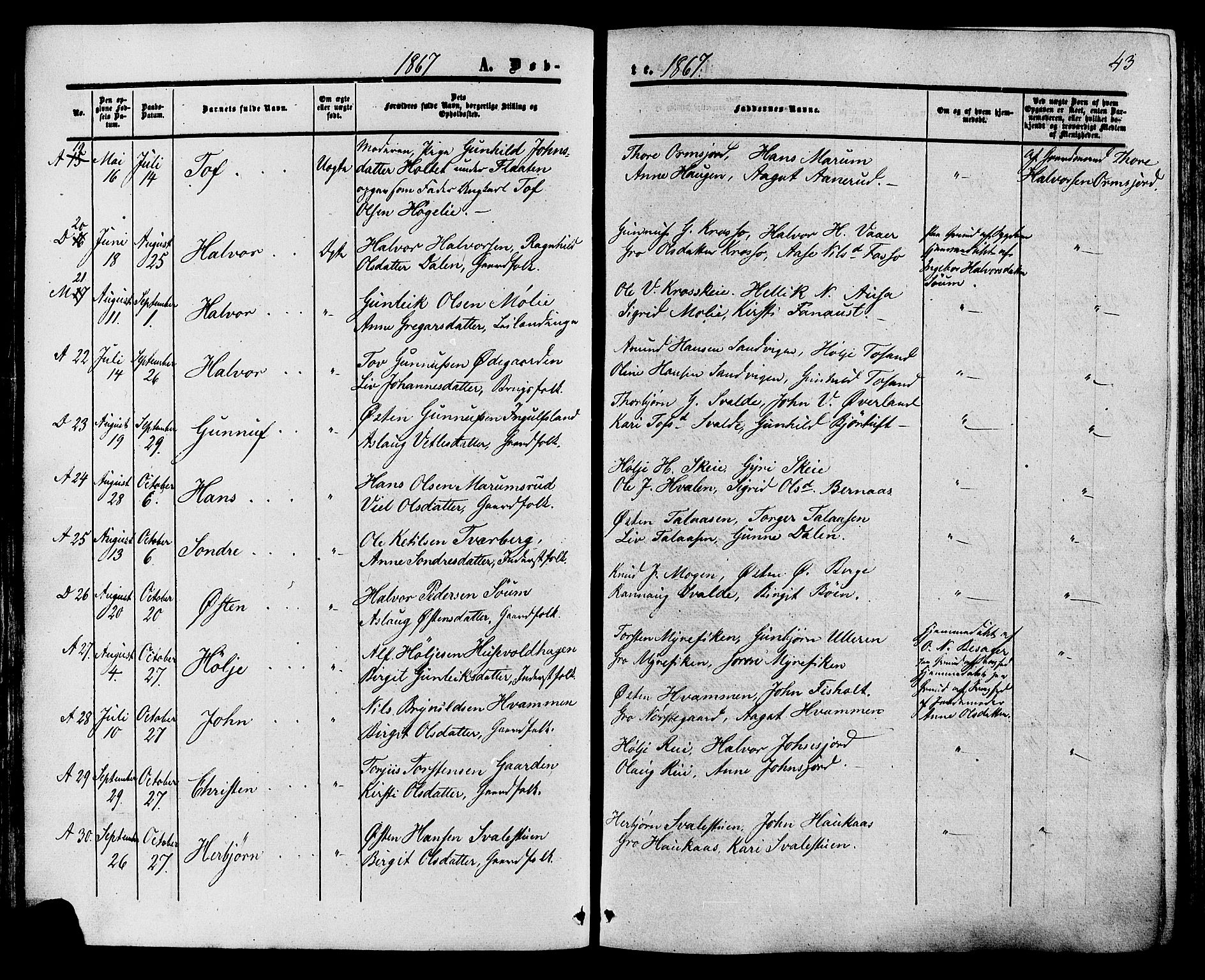 Tinn kirkebøker, AV/SAKO-A-308/F/Fa/L0006: Parish register (official) no. I 6, 1857-1878, p. 43